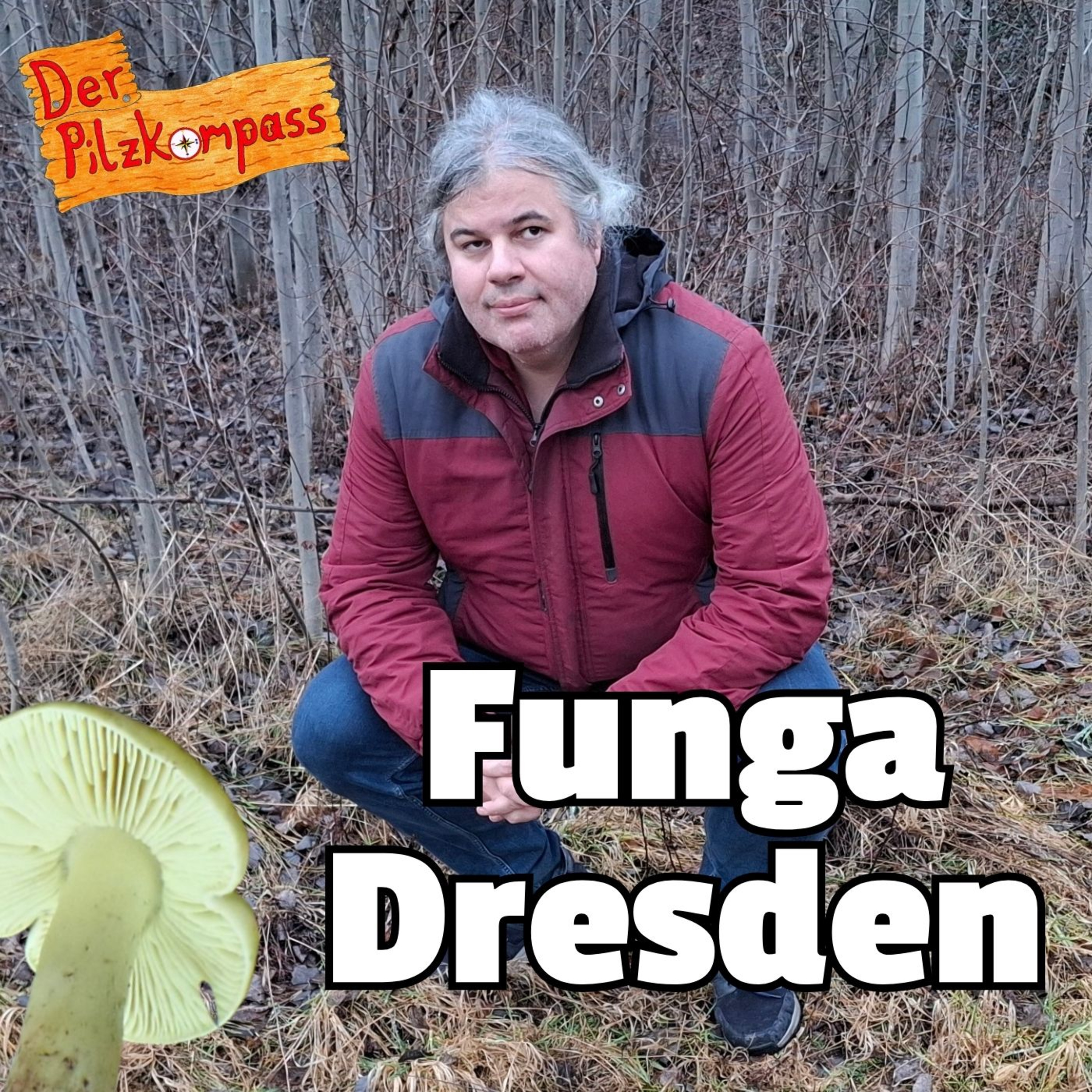 56 Spannende Pilze in Sachsen: Ritterlinge, Tintlinge & Risspilze bei Dresden - mit Stefan Zinke episode artwork
