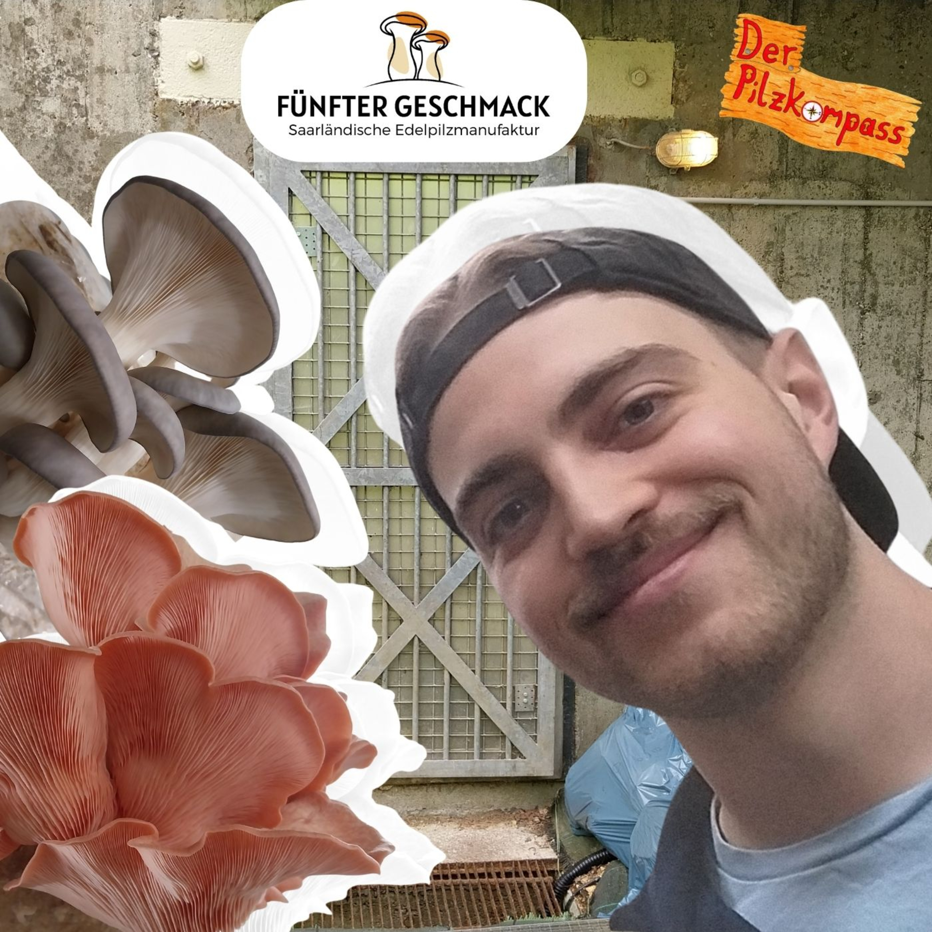 59 Pilzfarm im Kriegsbunker?! - DAS hätten wir nie erwartet!😱🍄🟫 episode artwork