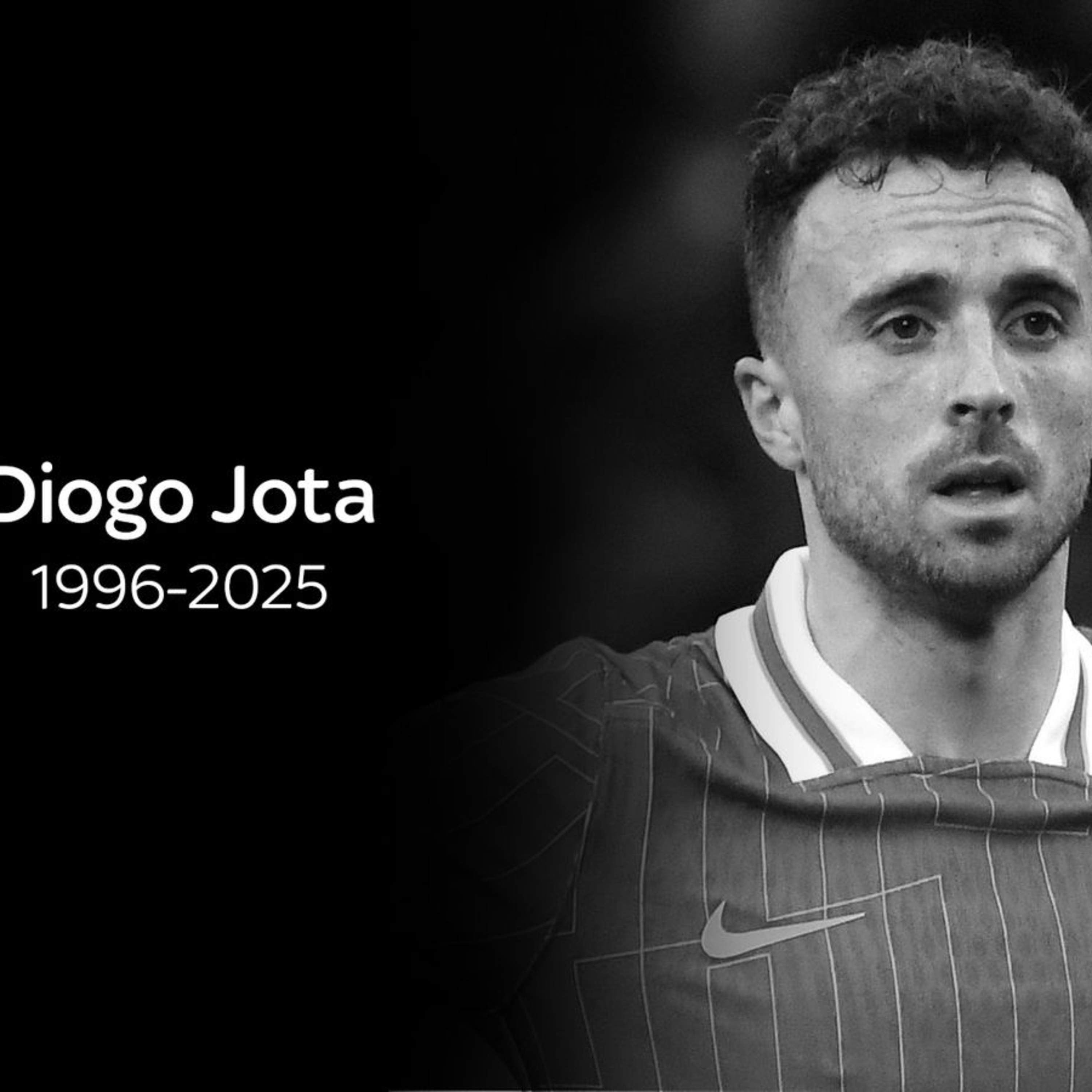 Fly High, Diogo episode artwork