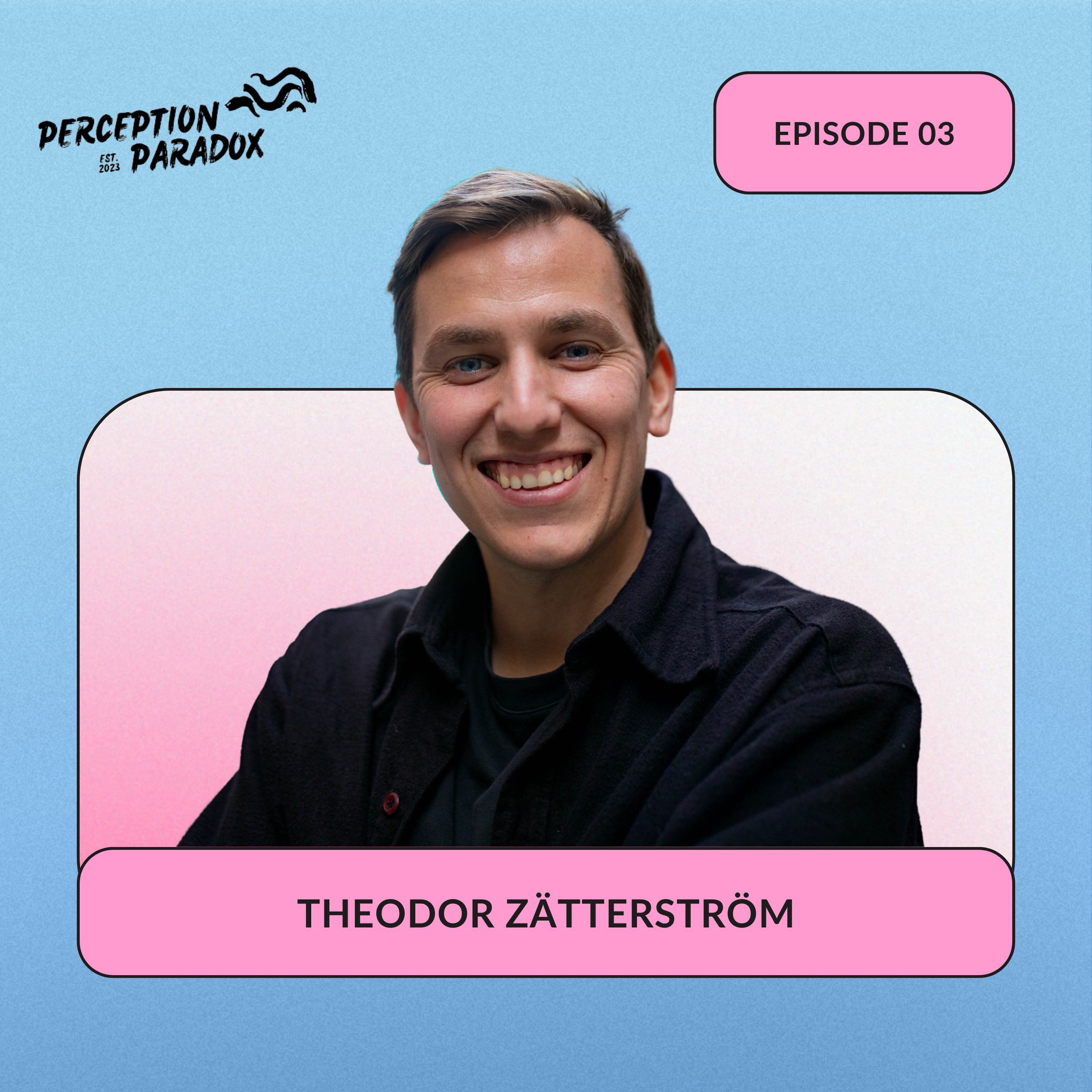 Perception Paradox with Zivi Ein
