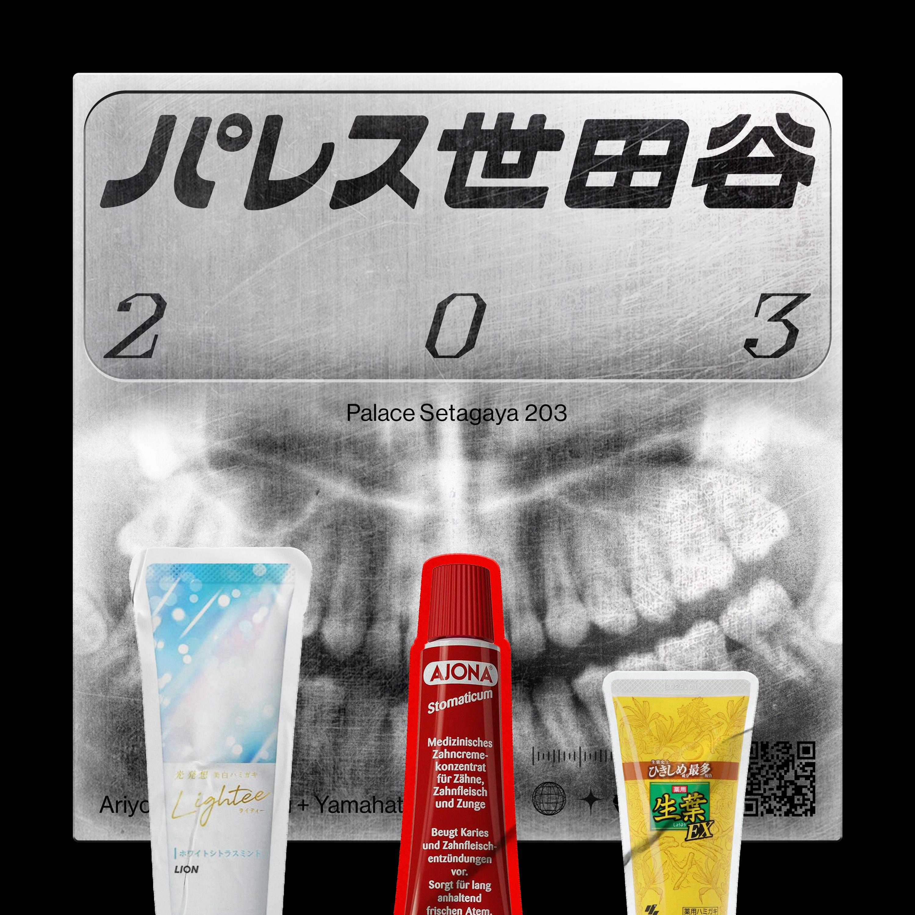 パレス世田谷203