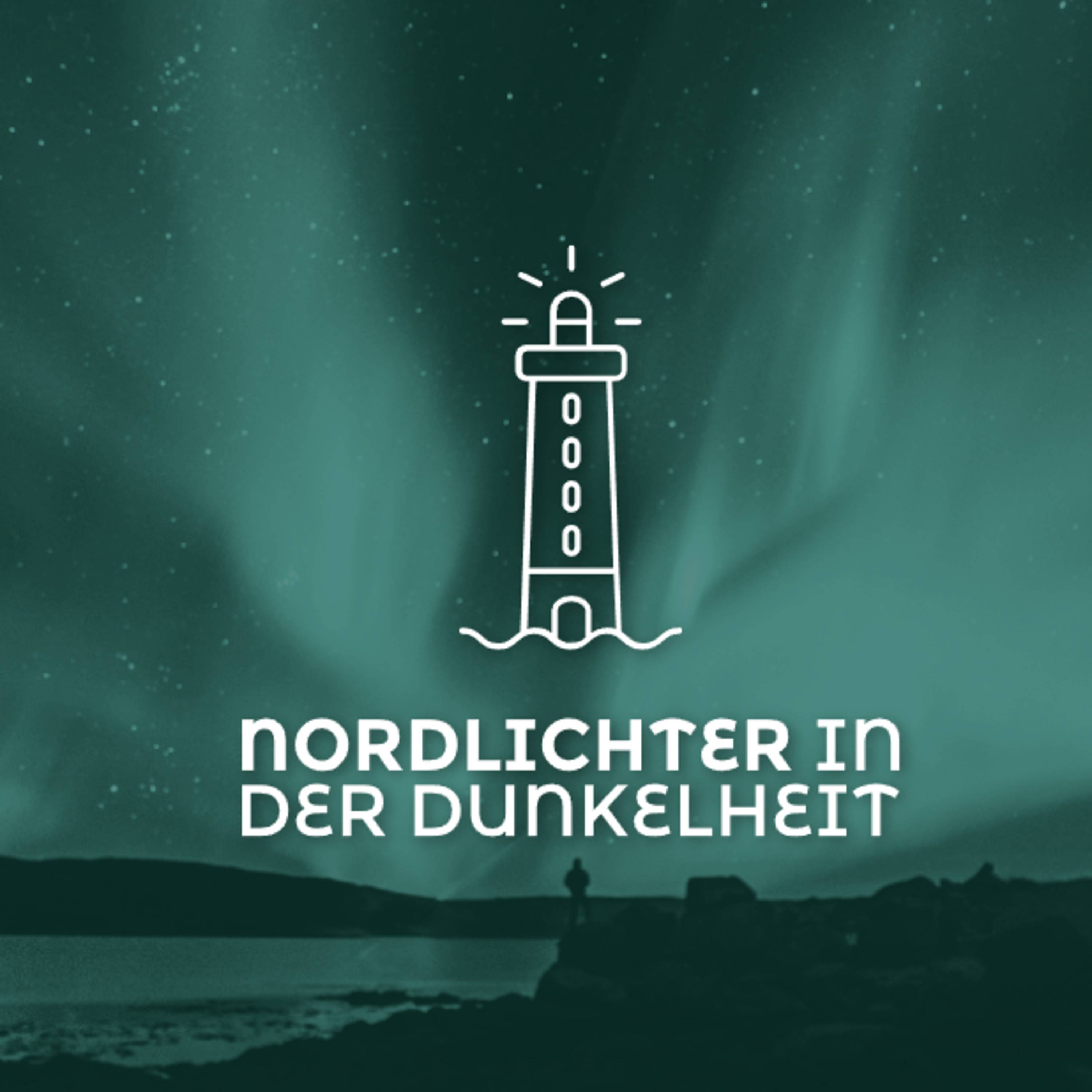 Nordlichter in der Dunkelheit