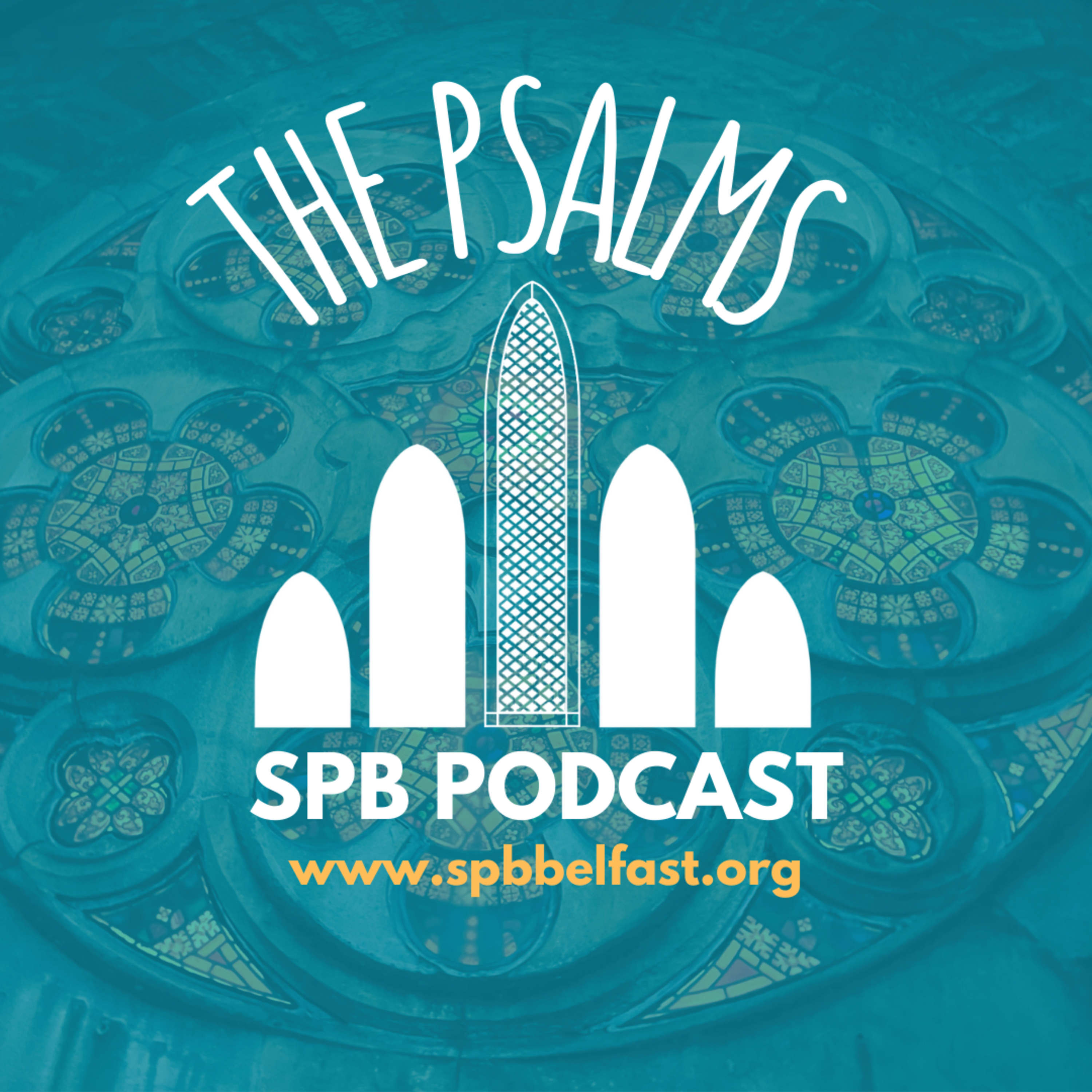 Psalm 8 || The Psalms || Andrew Irwin episode artwork