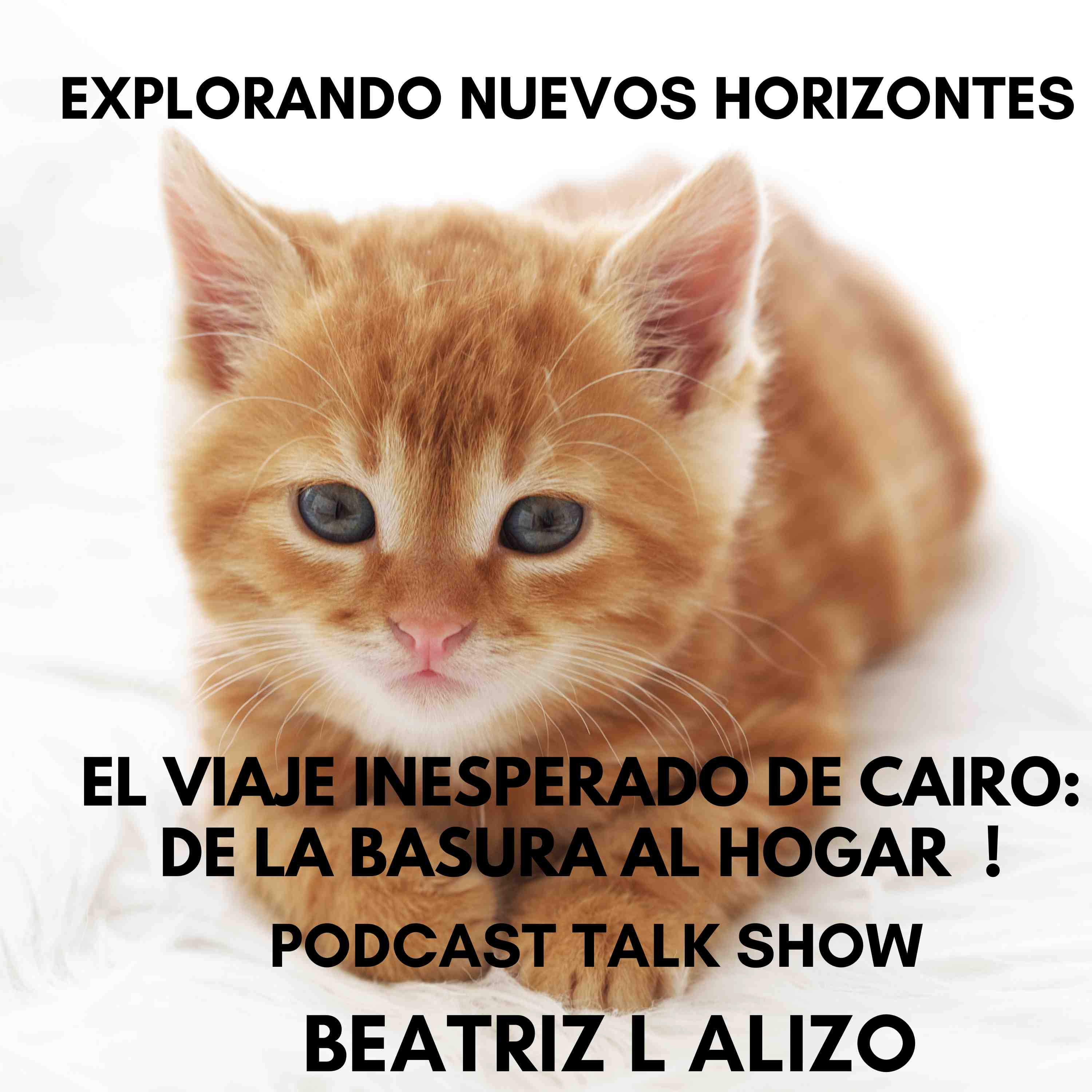 Explorando Nuevos Horizontes