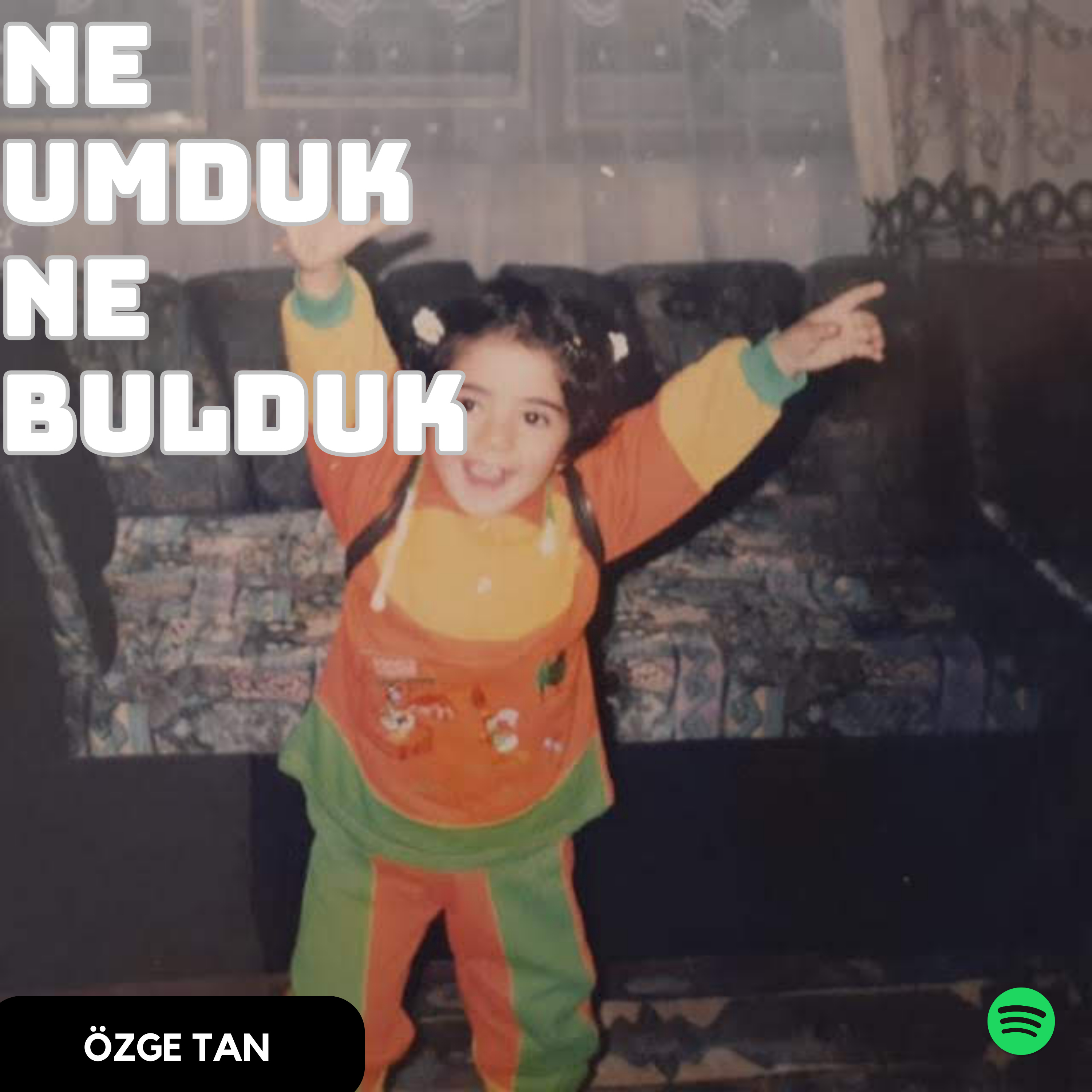 Ankakuşları sabaha karşı doğar episode artwork