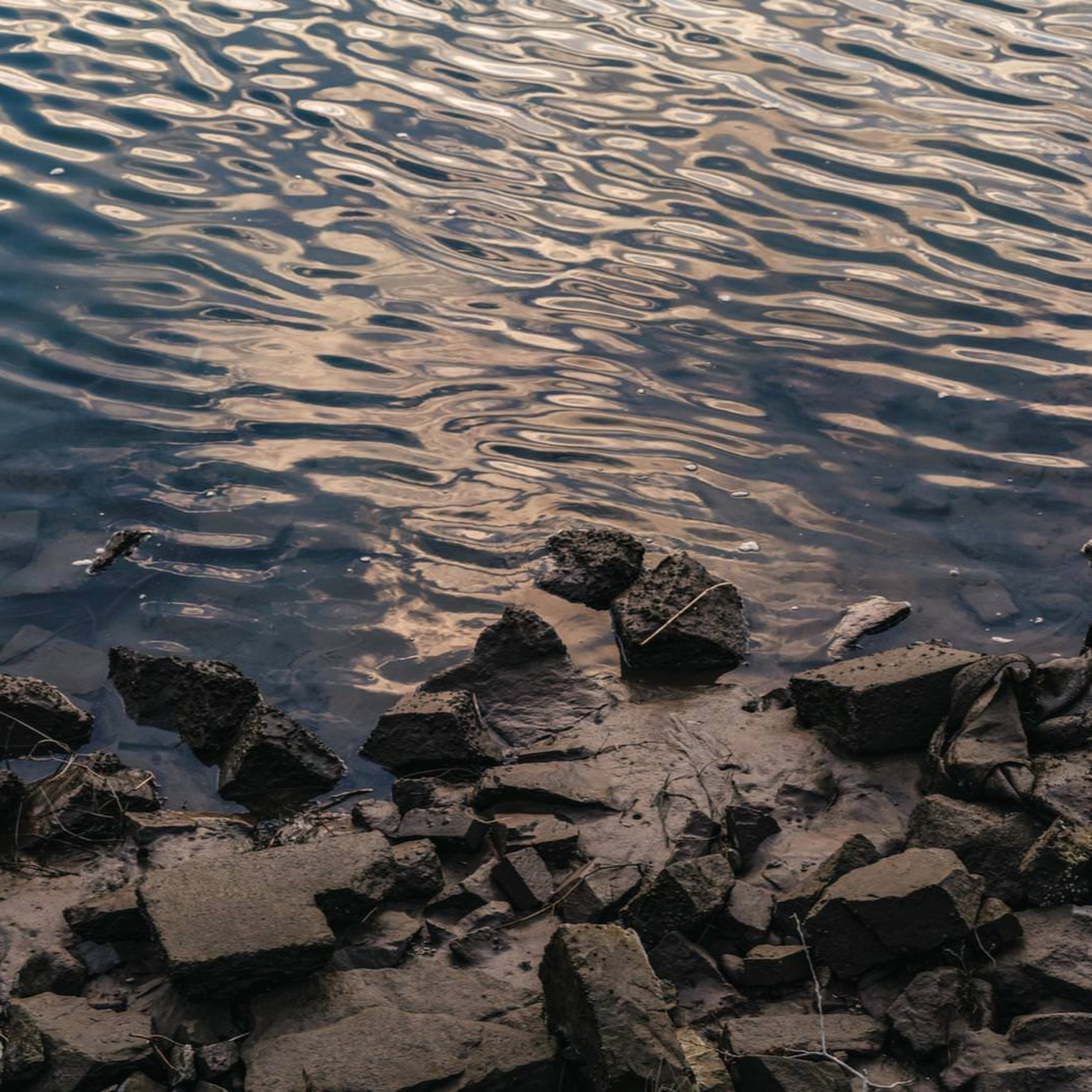 【第236回】ちゃ柴がおすすめする観た後に呆然とする映画２の巻 episode artwork