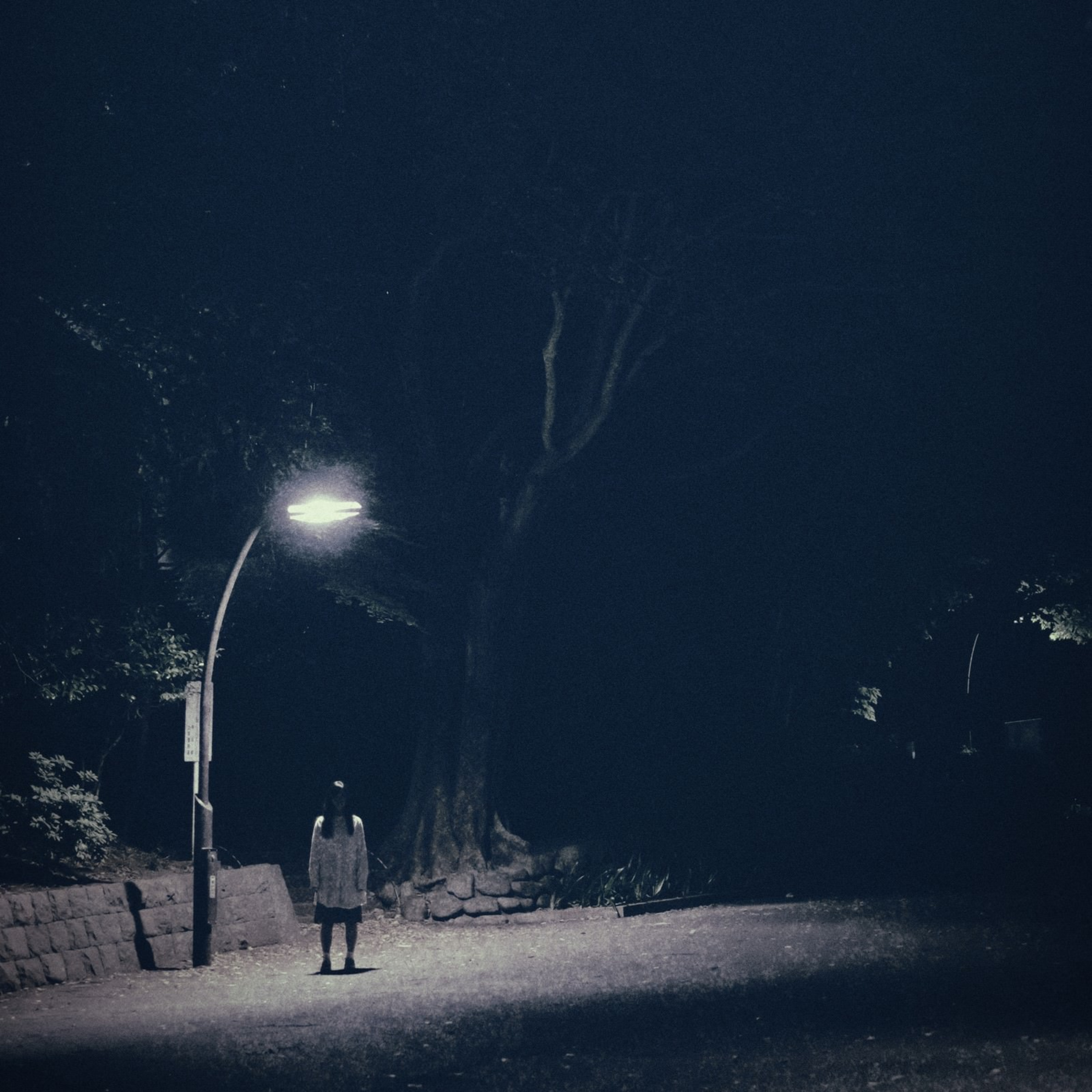 【第240回】墓場まで持っていく話８の巻 episode artwork