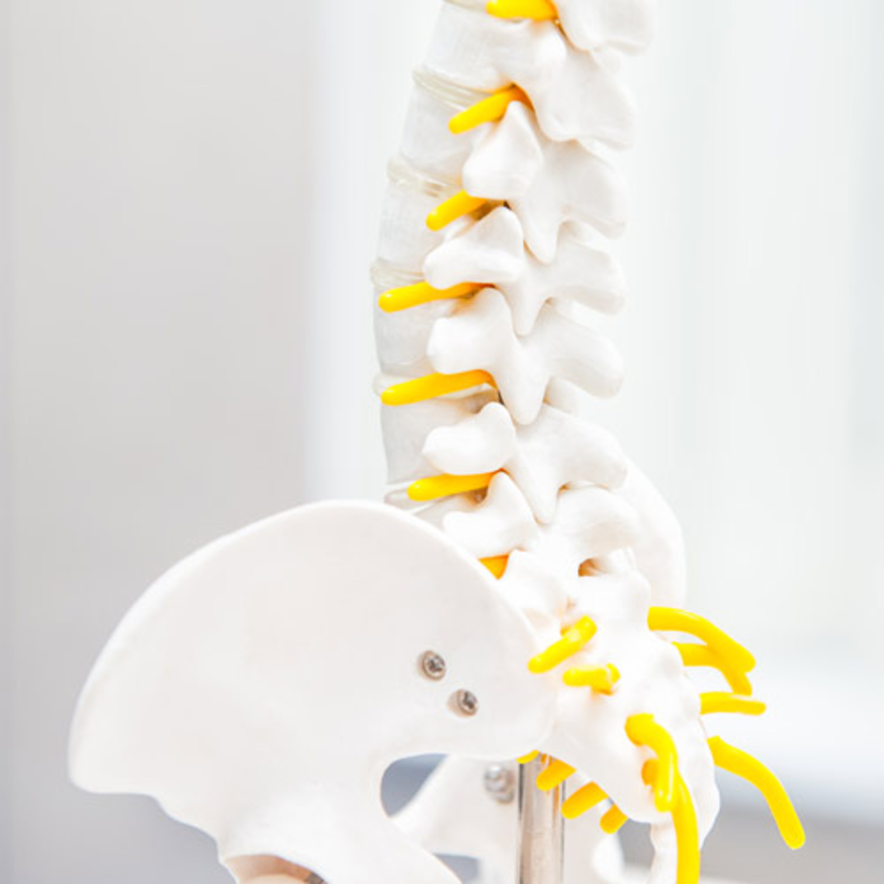 Corrective Chiropractic Care Spokane - Back in Motion P.S Chiropractic