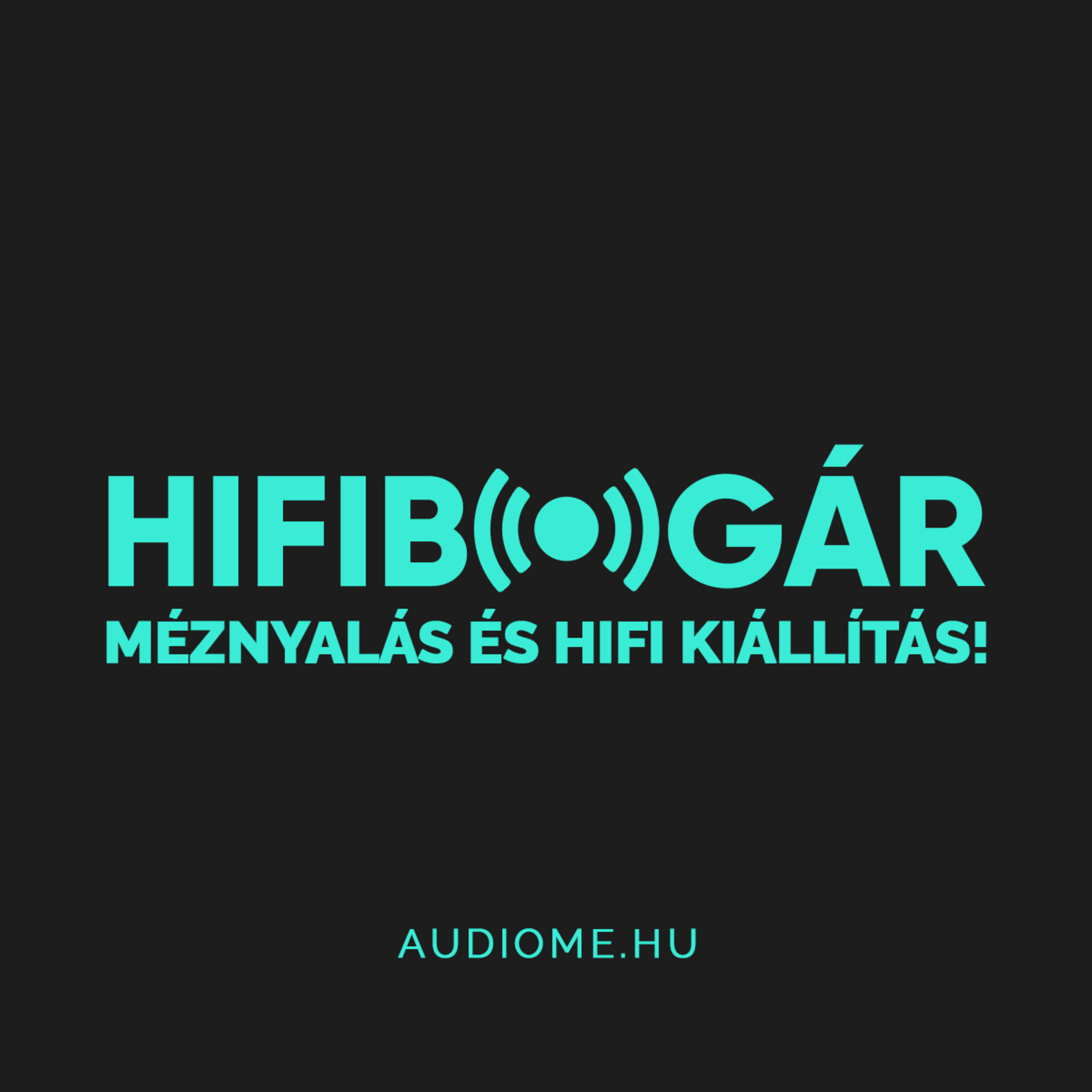 Hifibogár - Az AudioMe podcastja, mindenről ami zene: technológia, tippek, beszámolók...