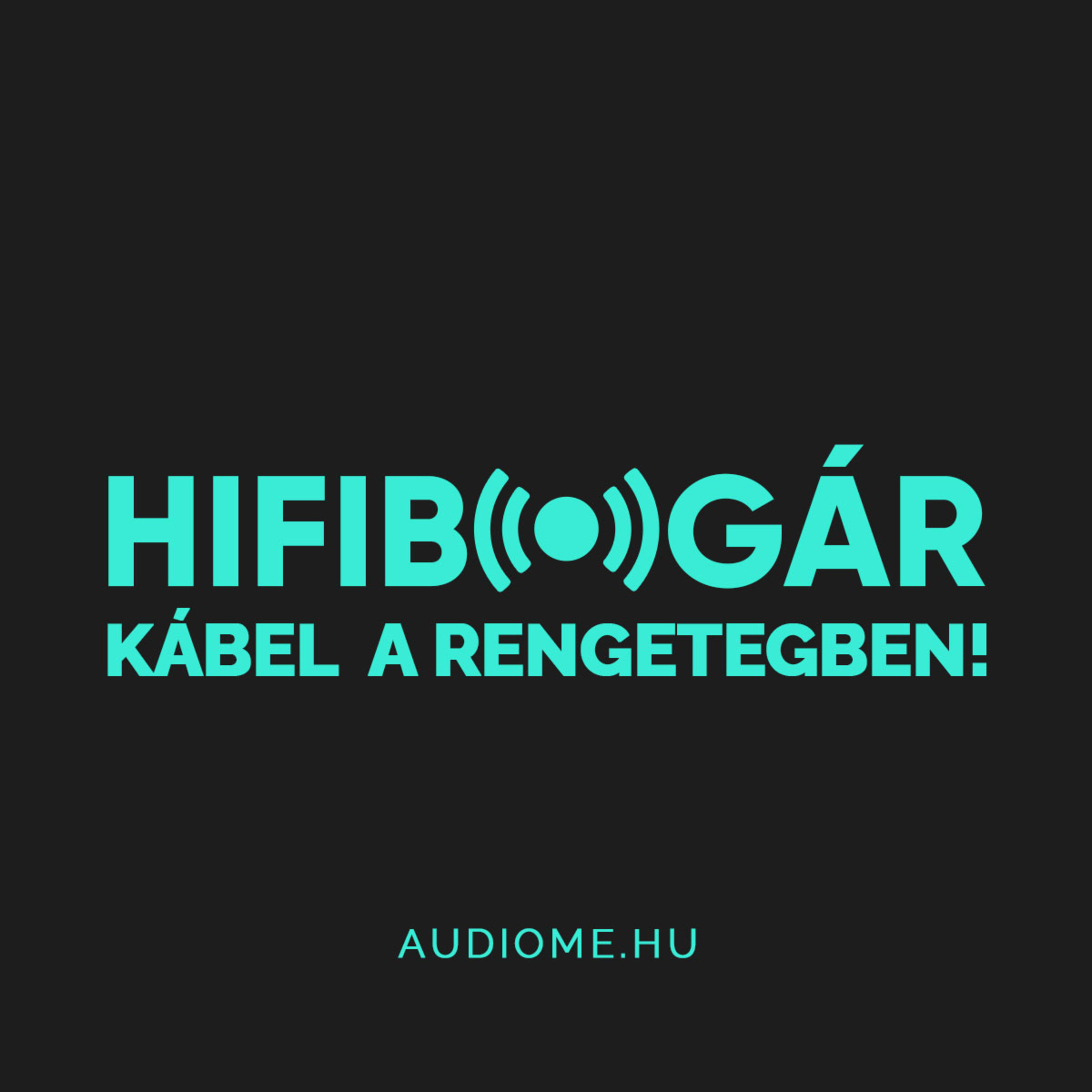 Hifibogár - Az AudioMe podcastja, mindenről ami zene: technológia, tippek, beszámolók...