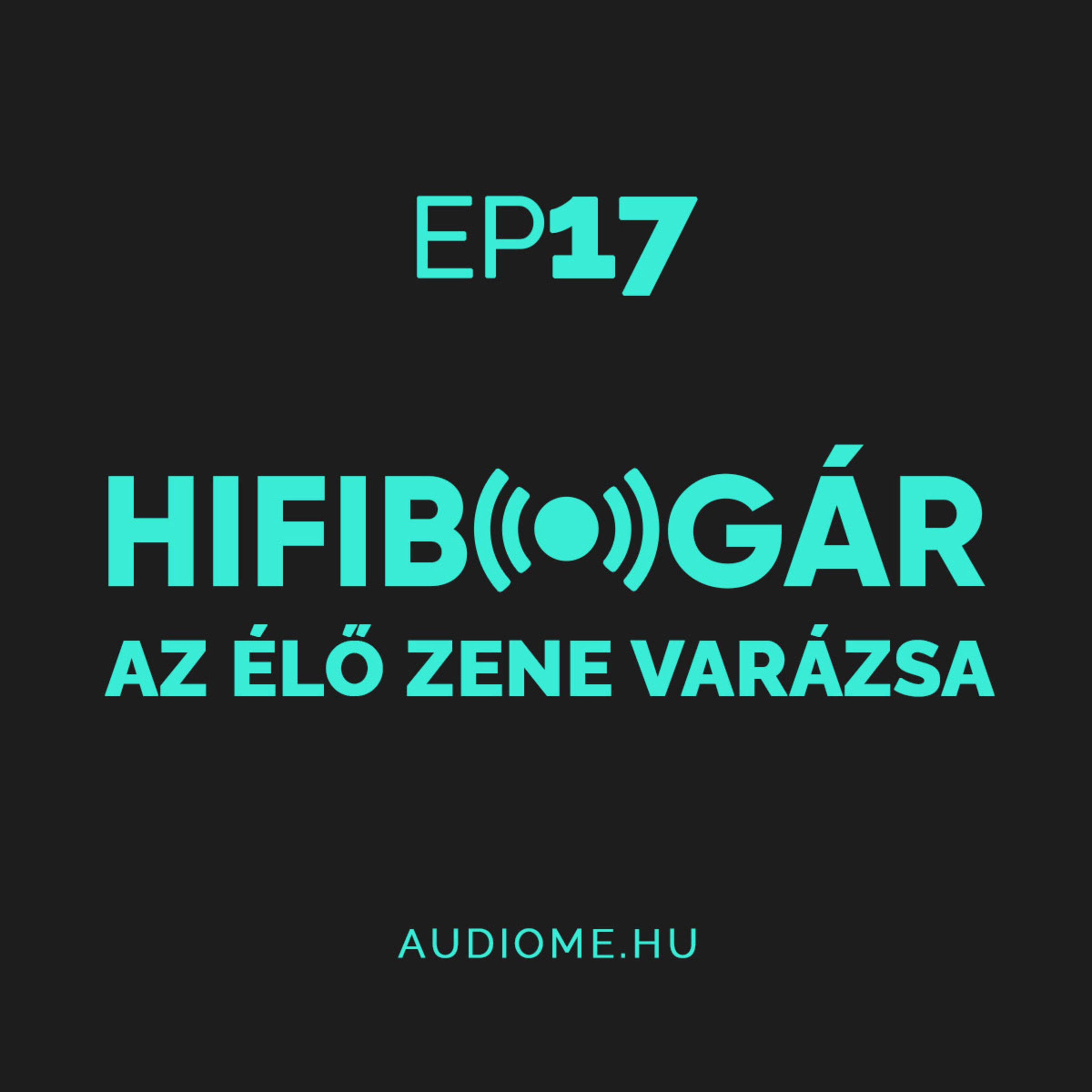 Hifibogár - Az AudioMe podcastja, mindenről ami zene: technológia, tippek, beszámolók...