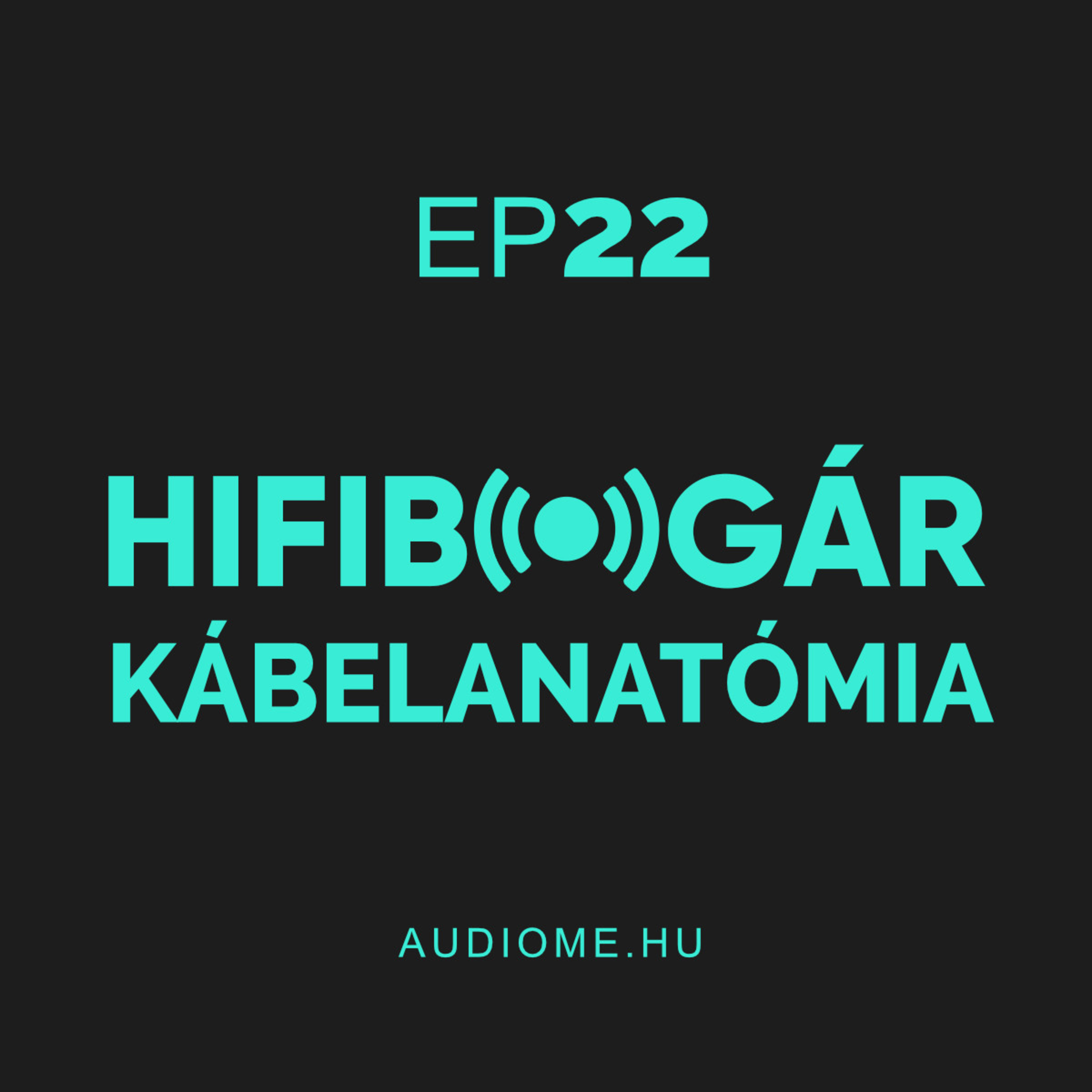 Hifibogár - Az AudioMe podcastja, mindenről ami zene: technológia, tippek, beszámolók...