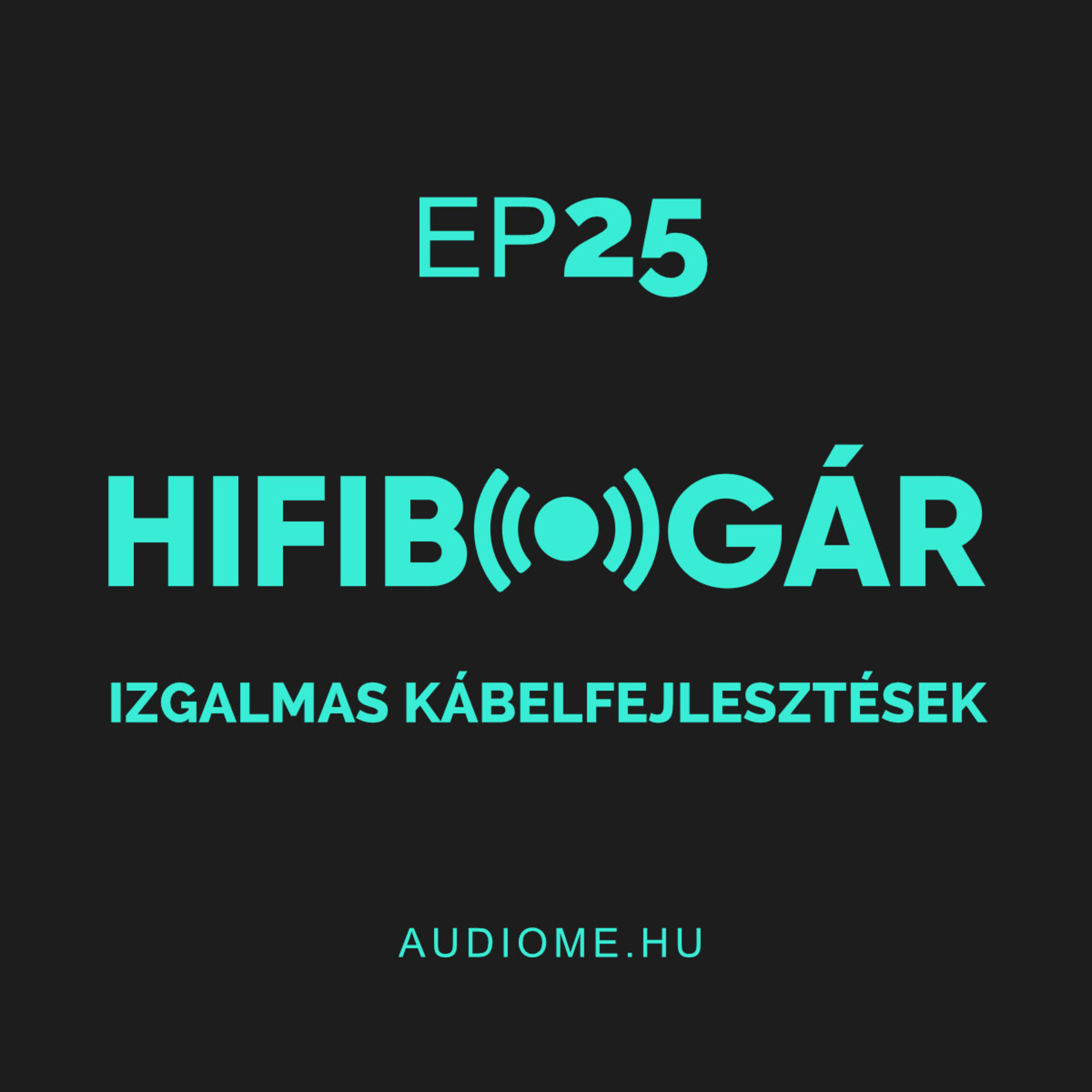 Hifibogár - Az AudioMe podcastja, mindenről ami zene: technológia, tippek, beszámolók...