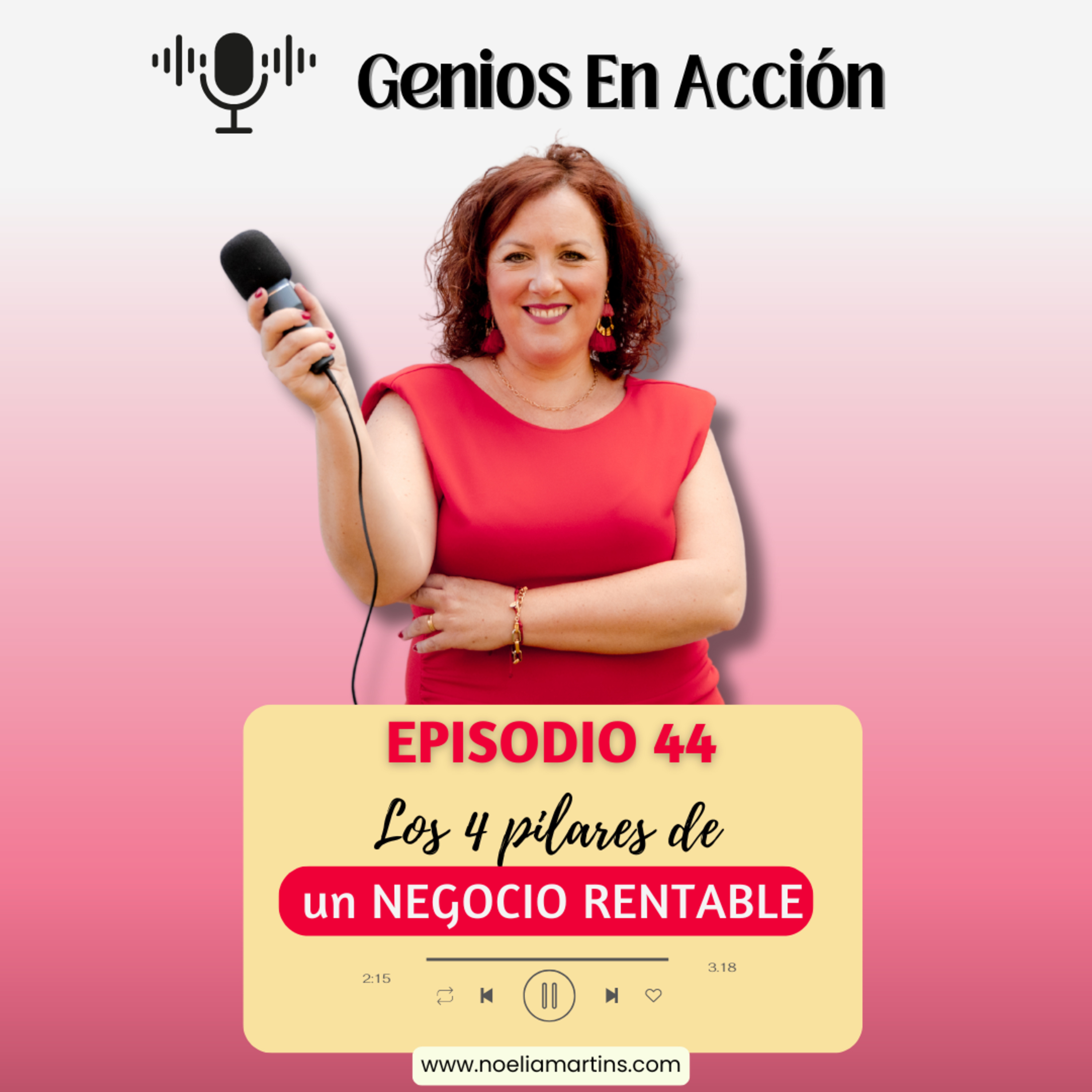 Ep. 44 Los 4 Pilares de un negocio Rentable episode artwork