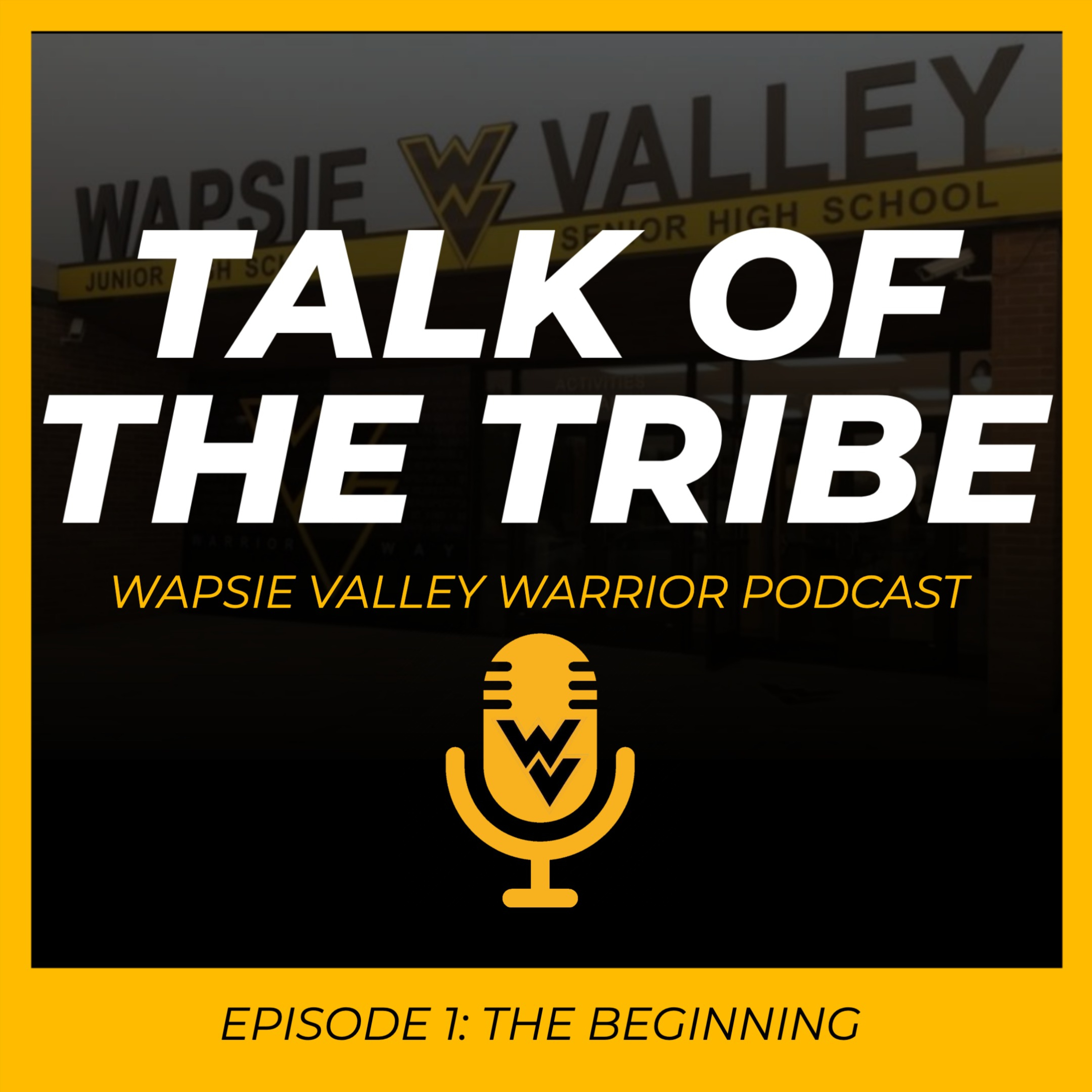 Episode 1: The Beginning  episode artwork