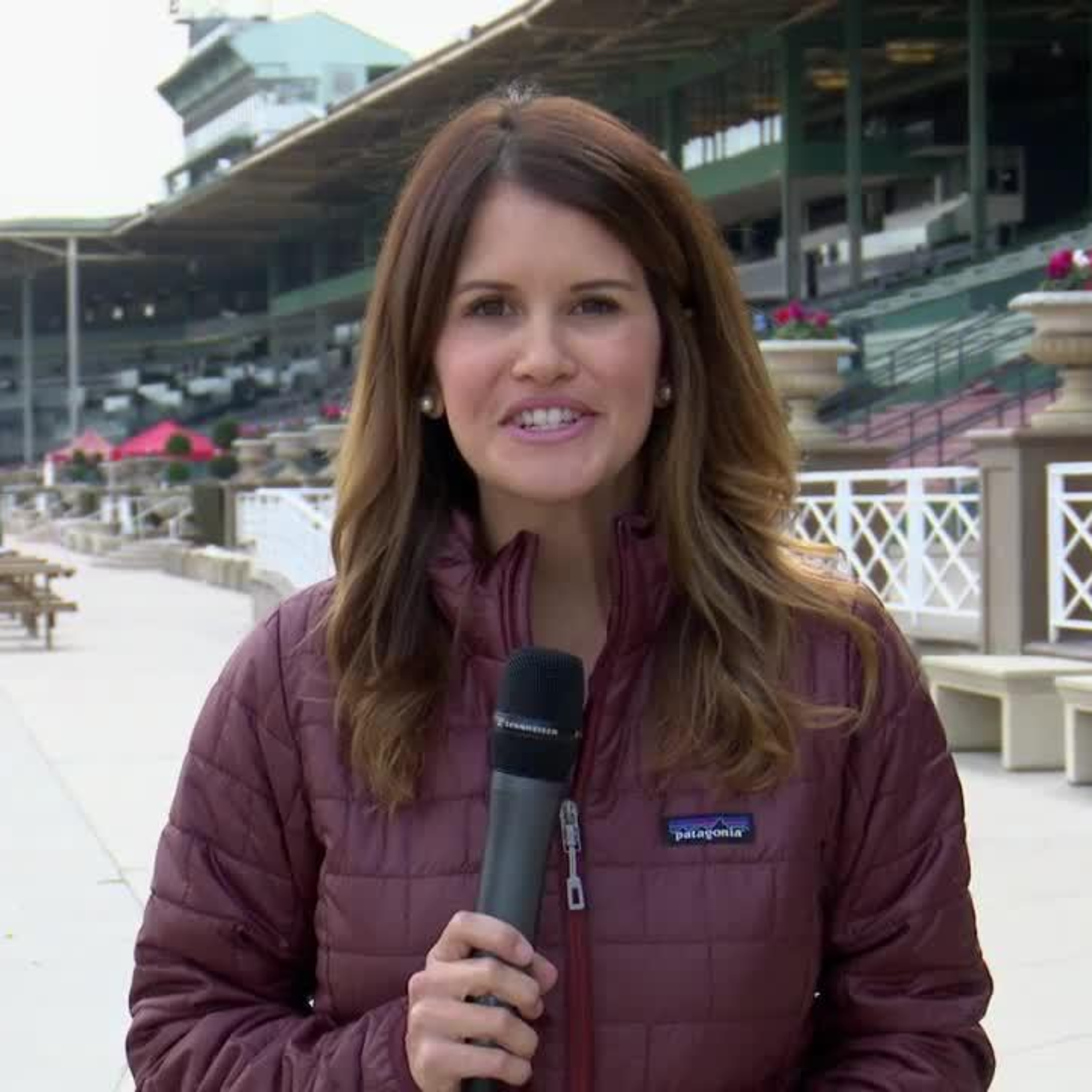 Shedrow Stories