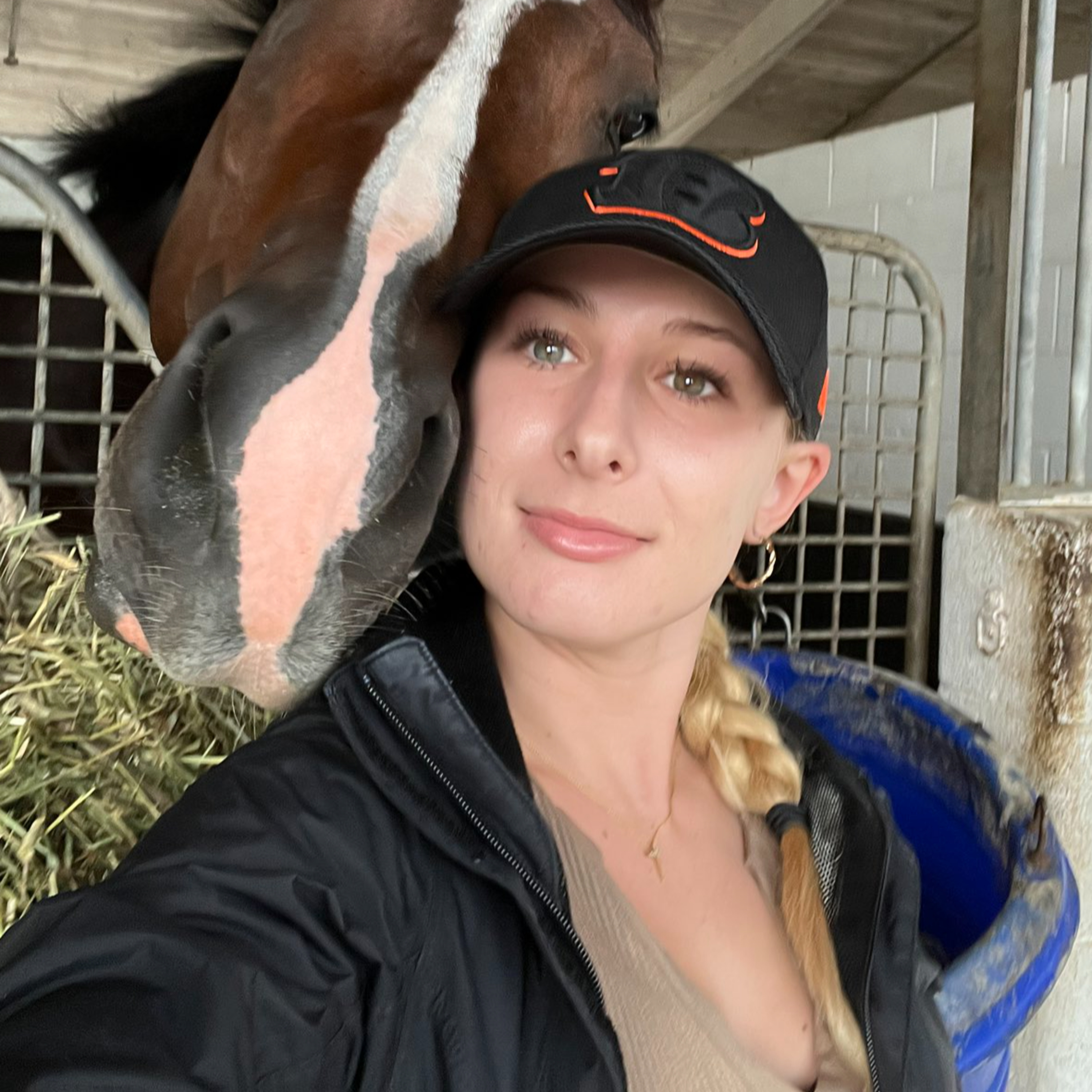 Shedrow Stories