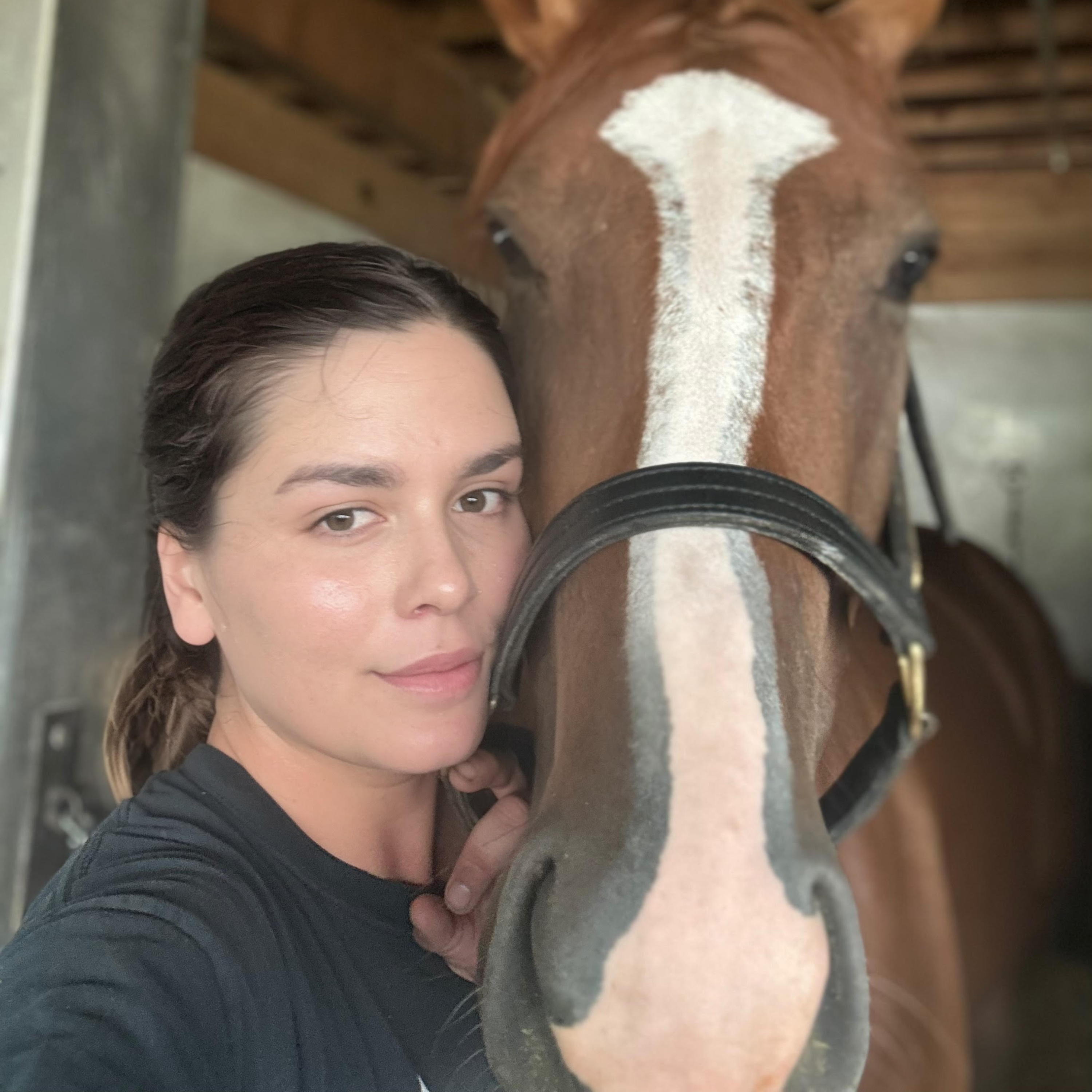 Shedrow Stories