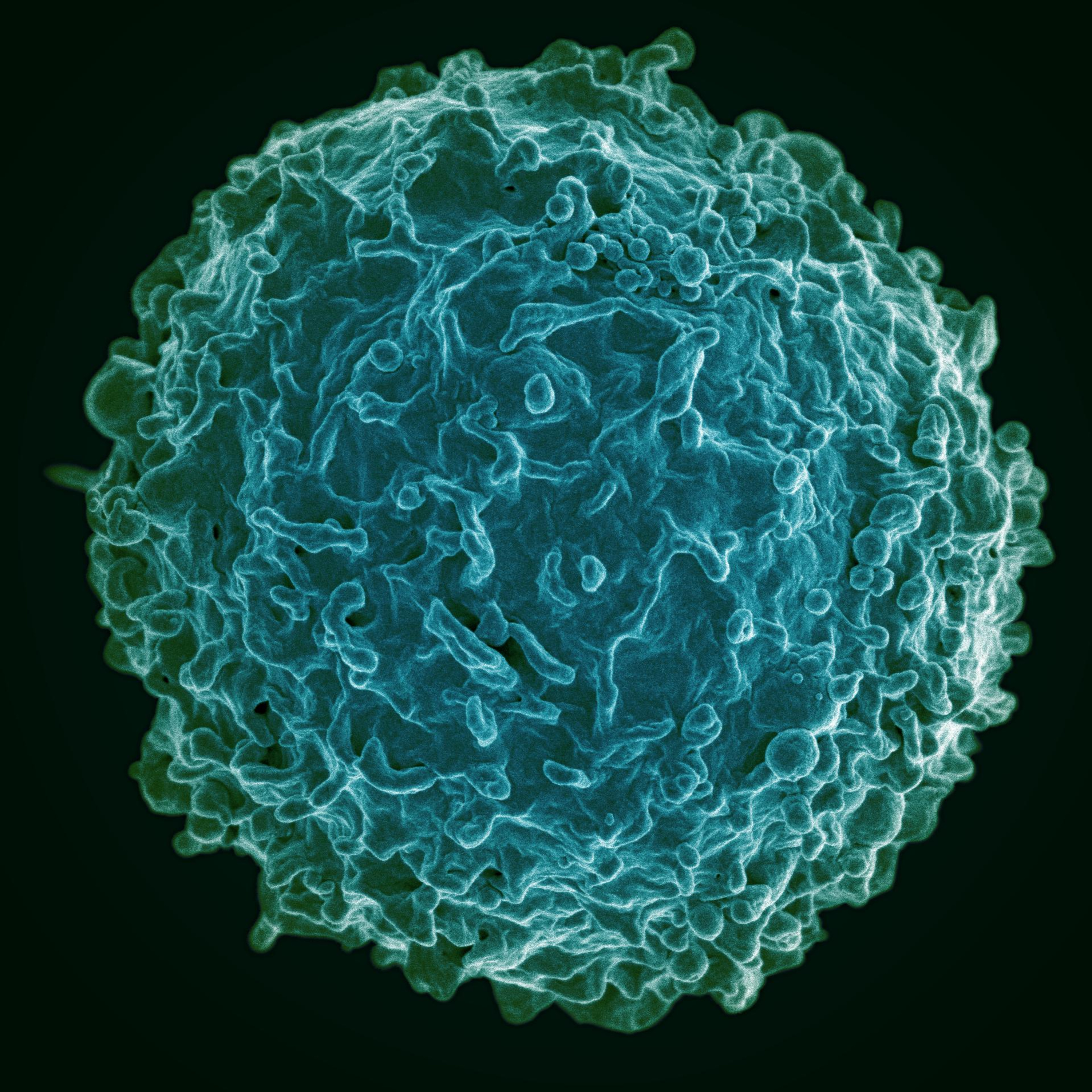 Adaptive Immunity Ch18 episode artwork