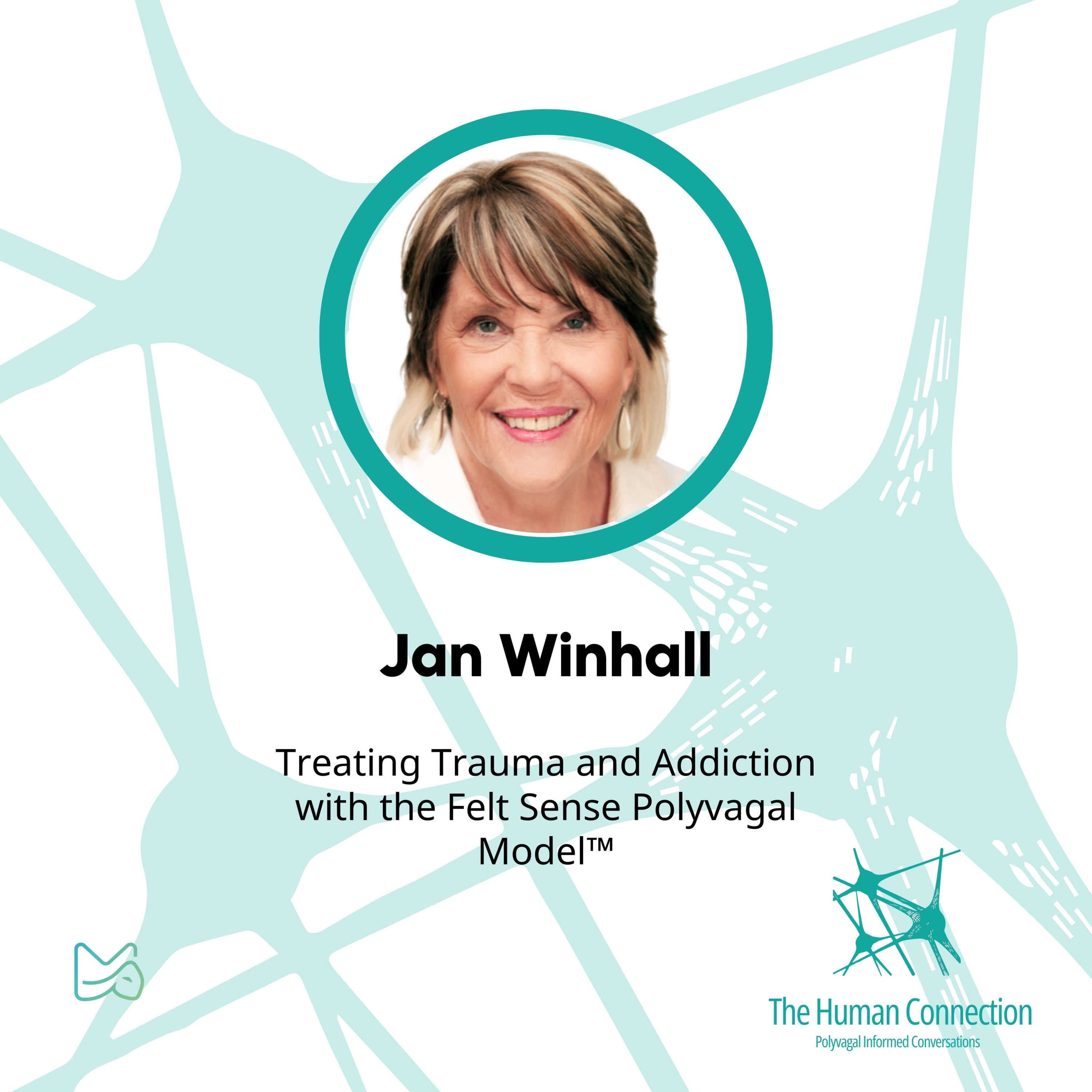 The Human Connection (Polyvagal Informed Conversations)