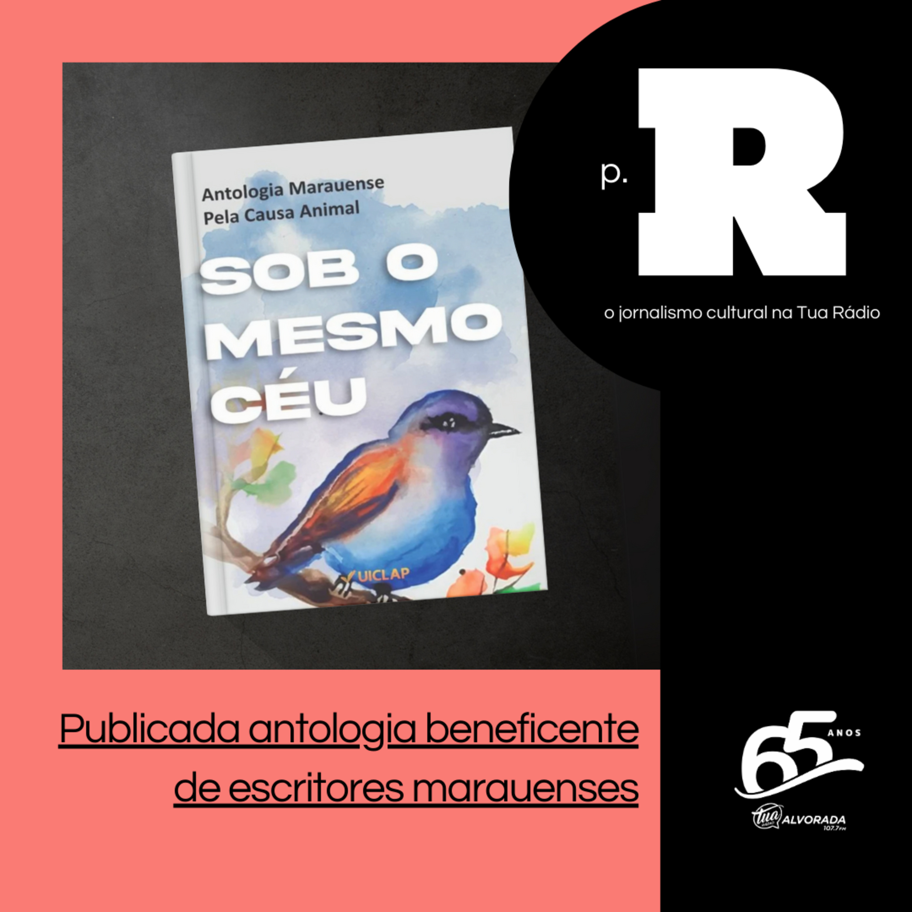 Publicada antologia beneficente de escritores marauenses | Página Rosa: 2ª Temporada episode artwork
