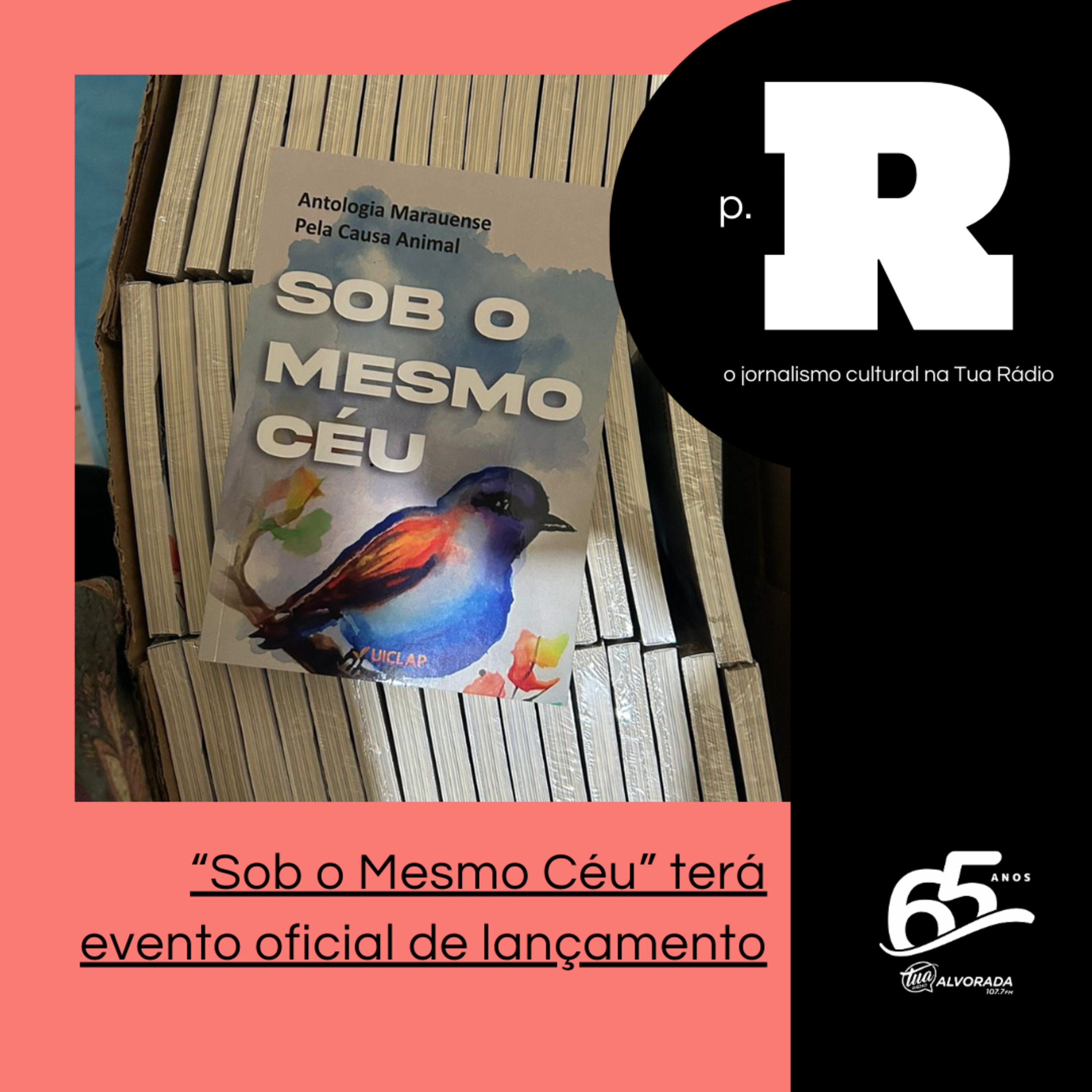 “Sob o Mesmo Céu” terá evento oficial de lançamento | Página Rosa: 2ª Temporada episode artwork