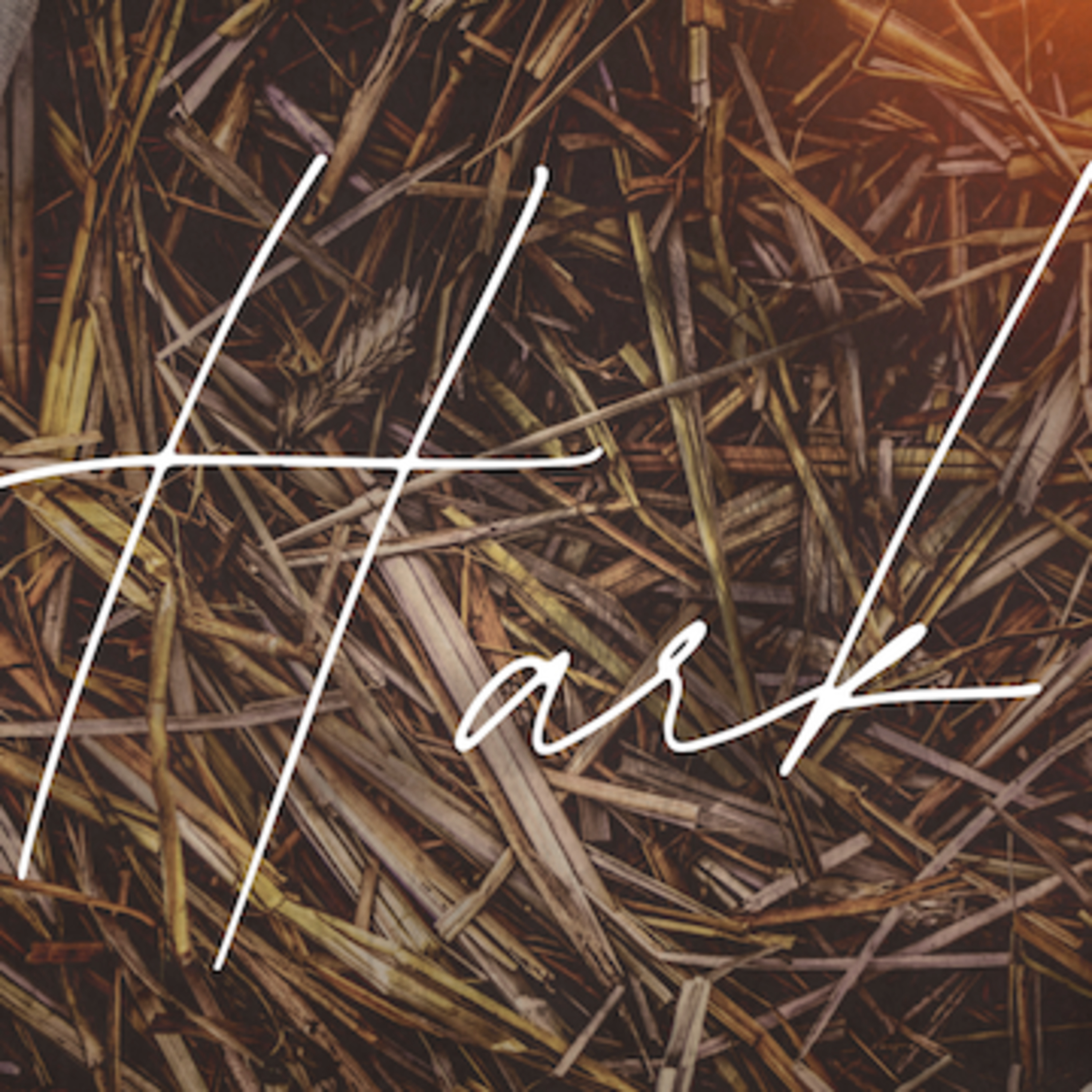 PEACE / Christmas Eve