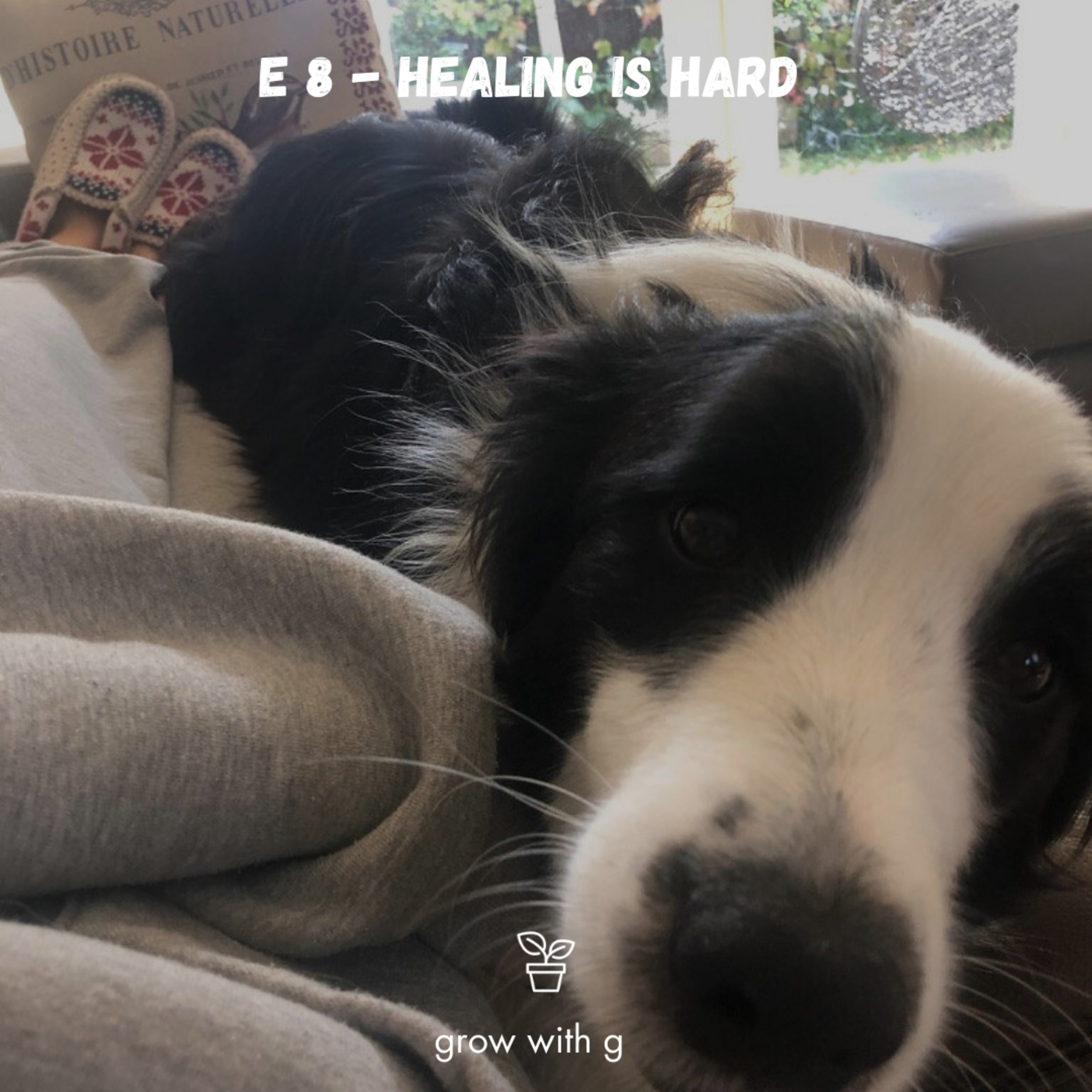 8 - healing is HARD episode artwork