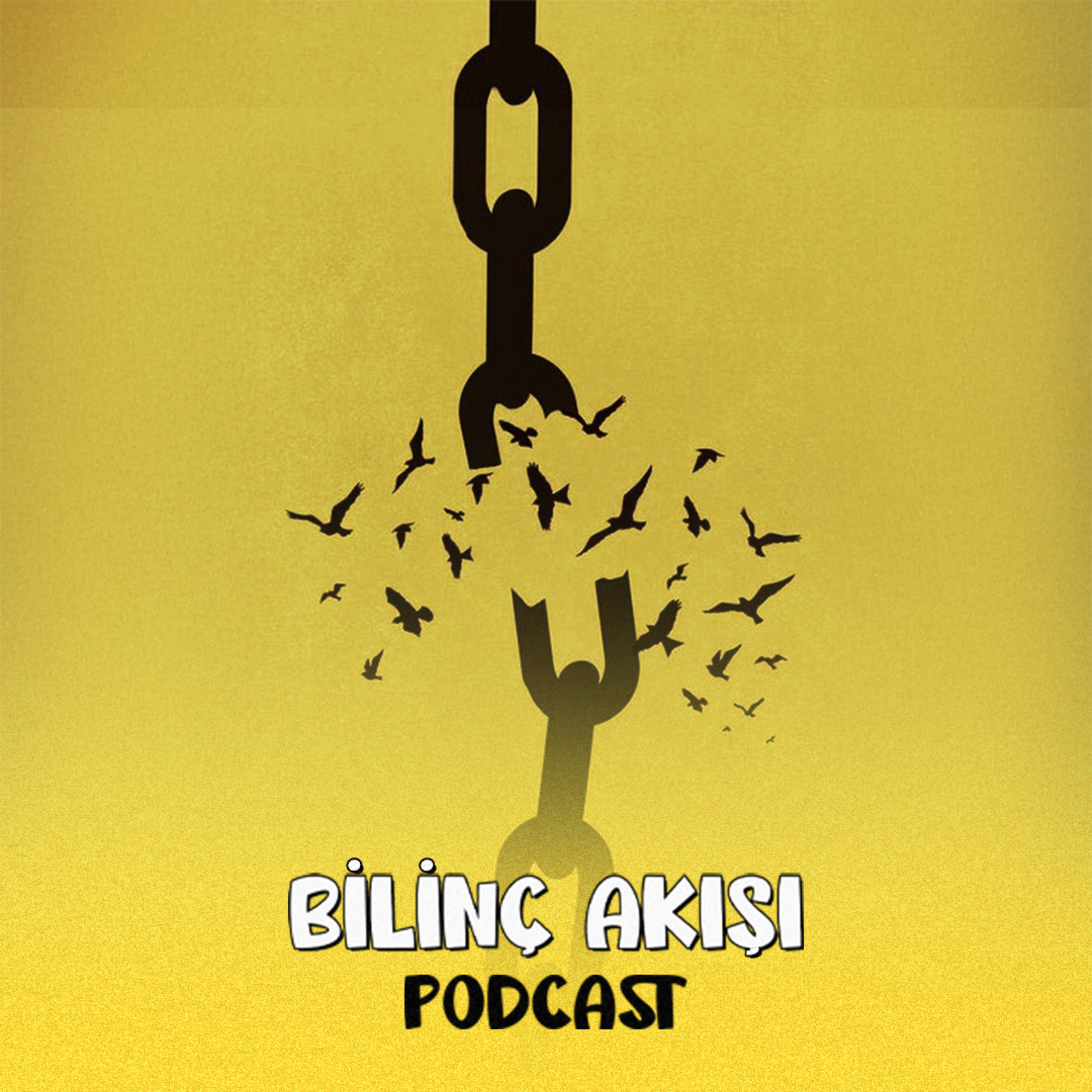 Kendi Puzzle'ını Tamamlamak-1 episode artwork
