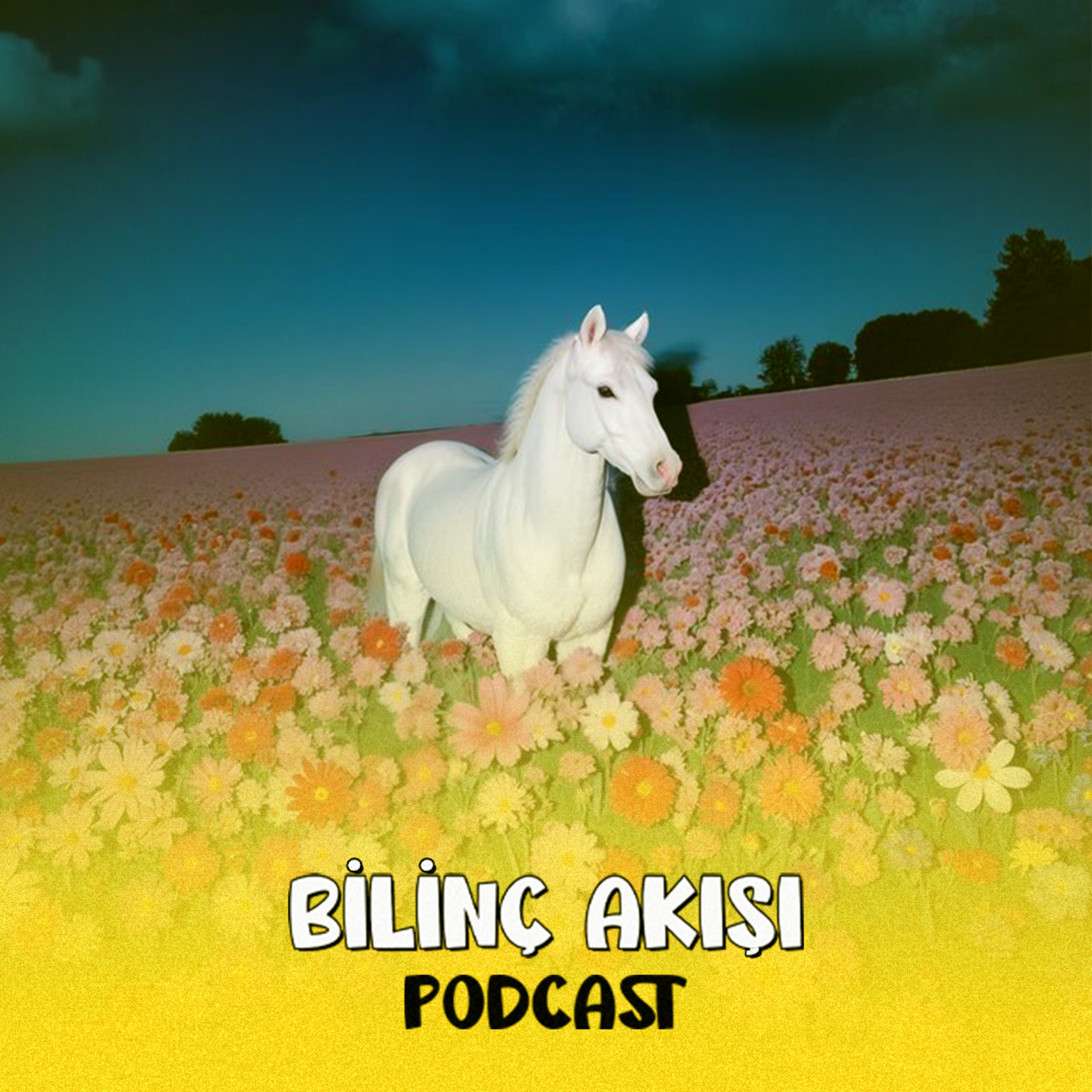 kendinden ilham almak episode artwork