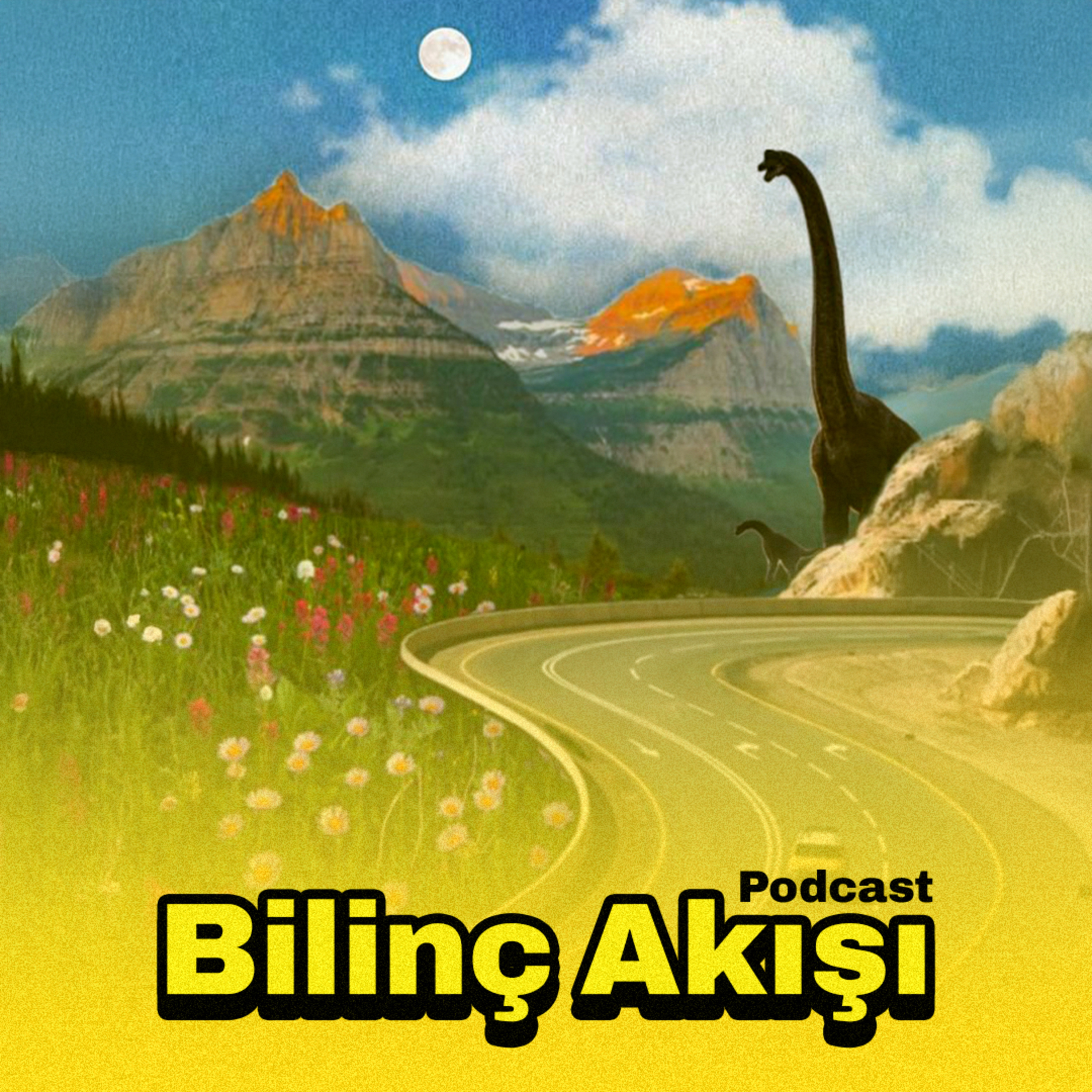 2 Aylık Kalkınma Planı episode artwork