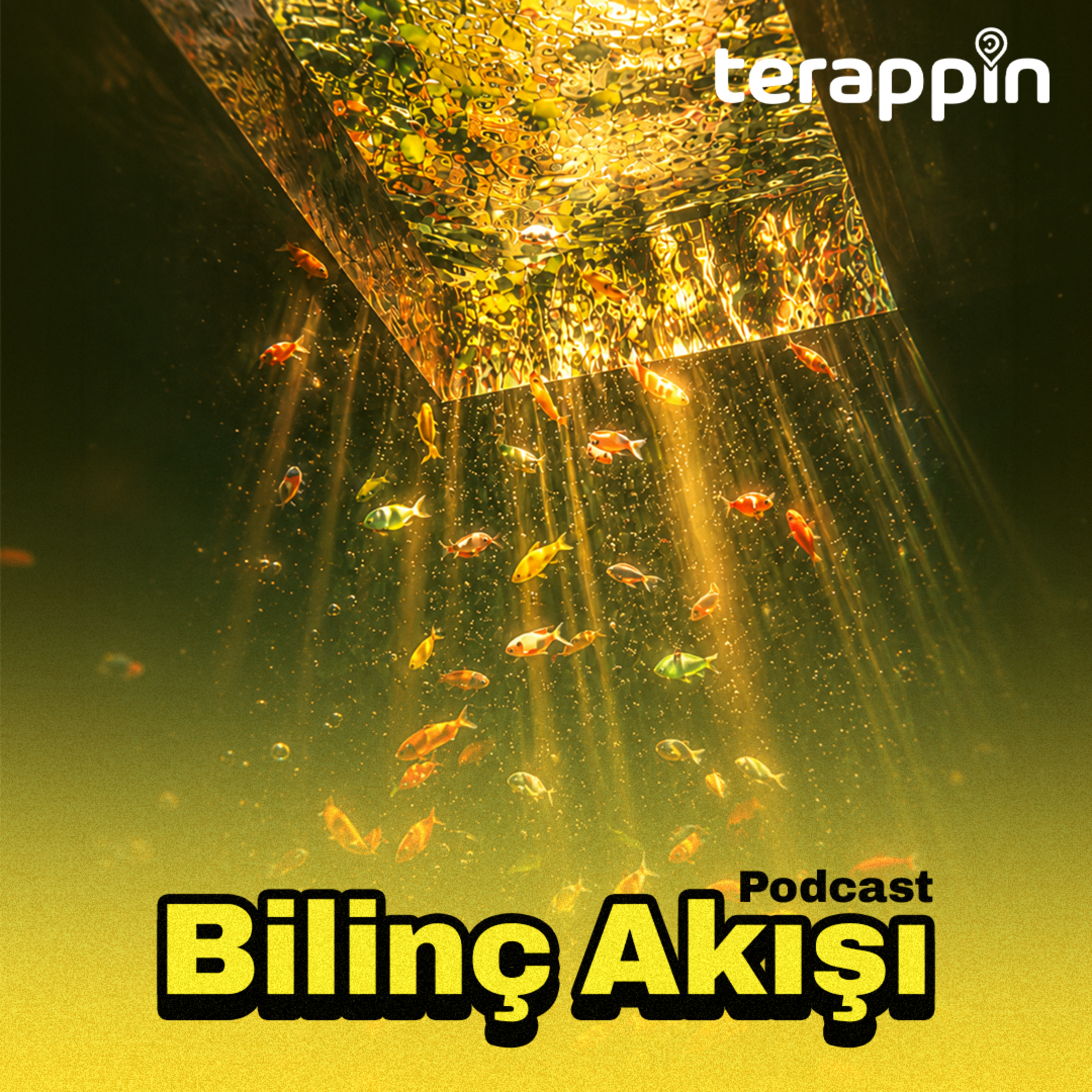 kaygılarım birer tuzaktı