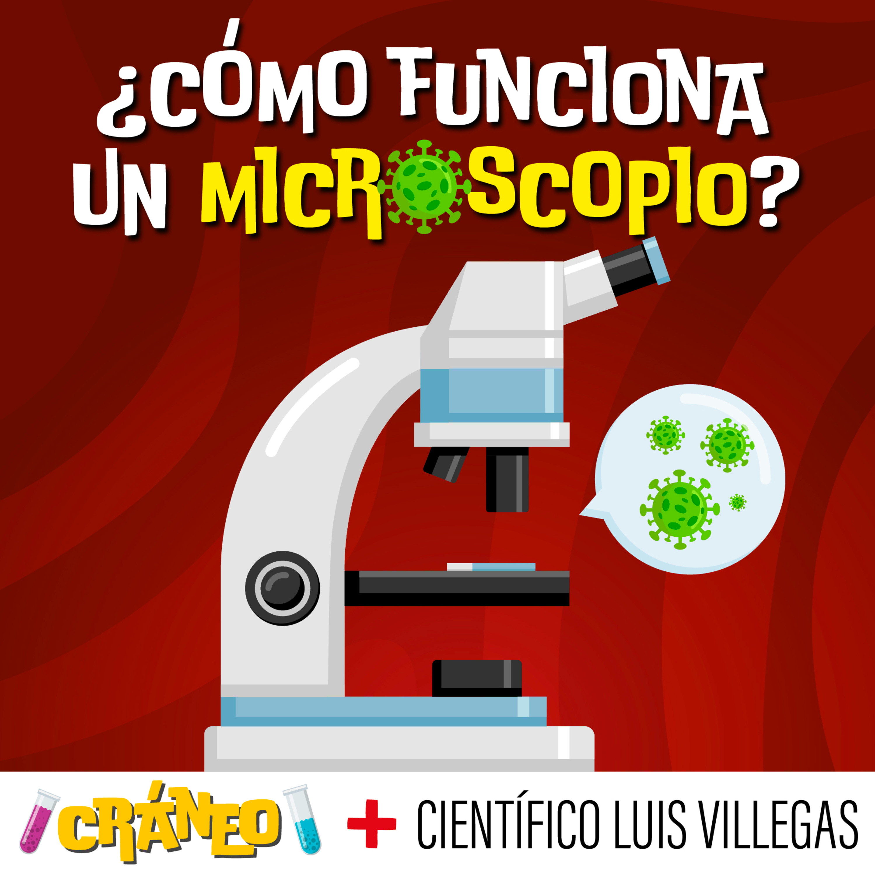 Cráneo: Ciencia para niños curiosos