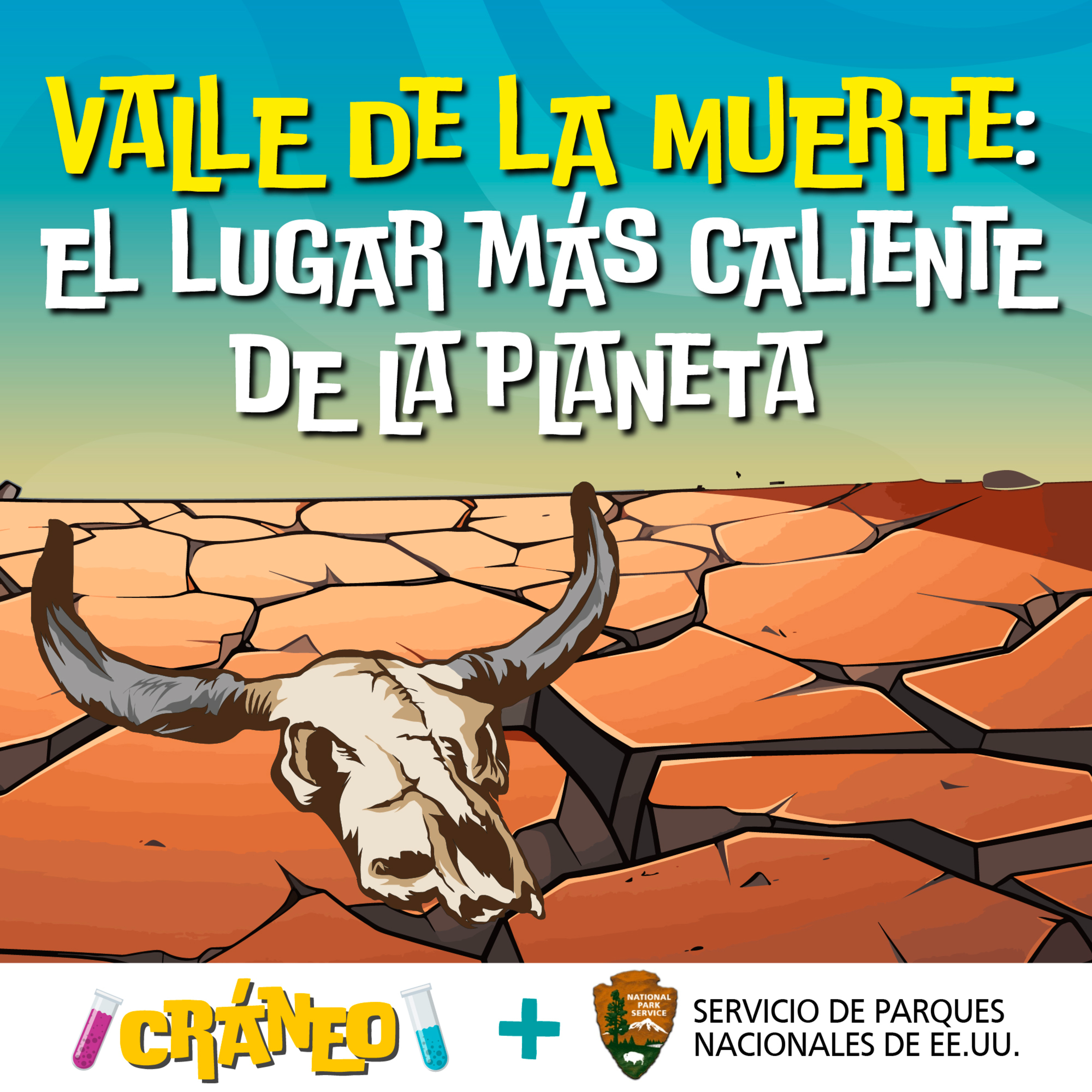 Cráneo: Ciencia para niños curiosos