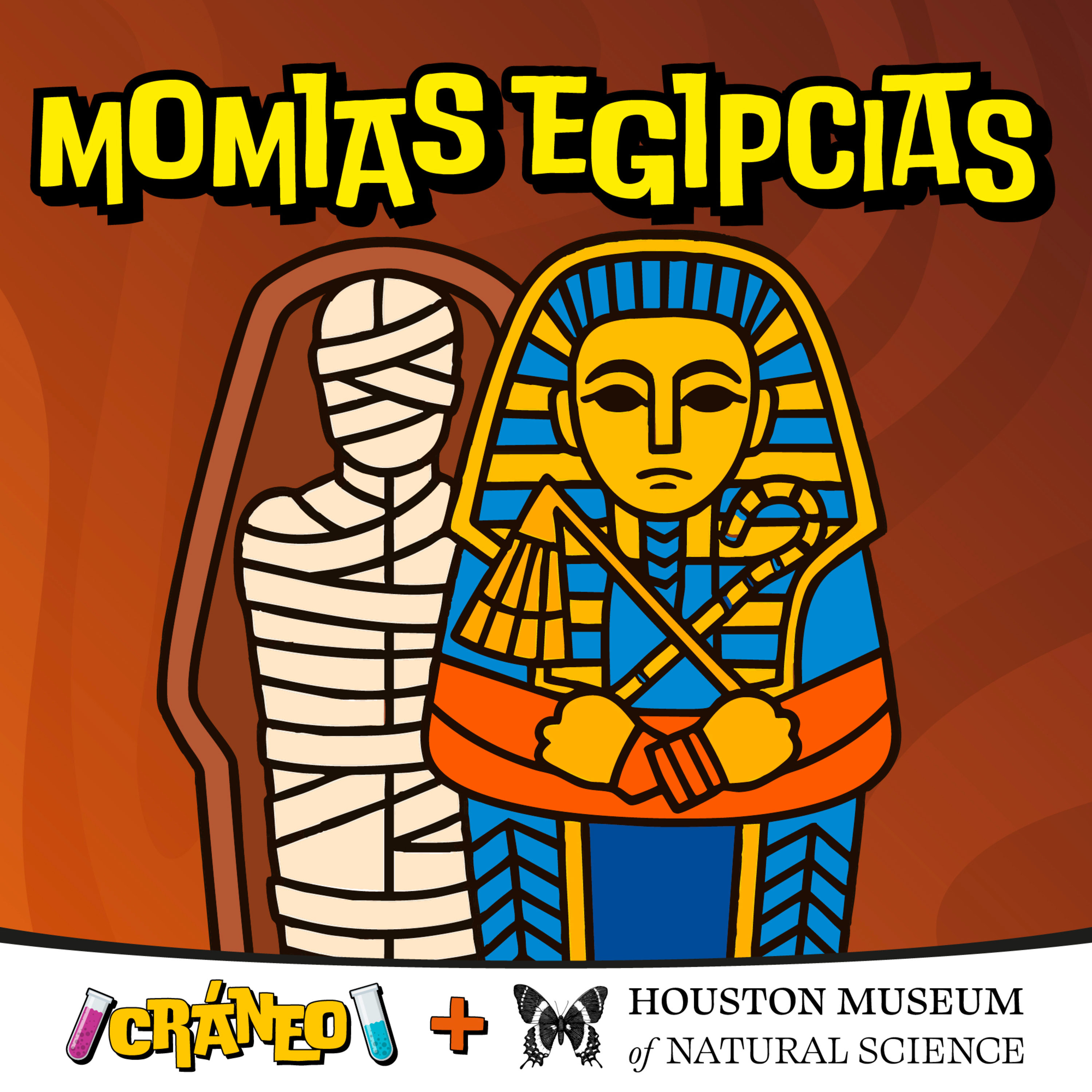 Momias Egipcias
