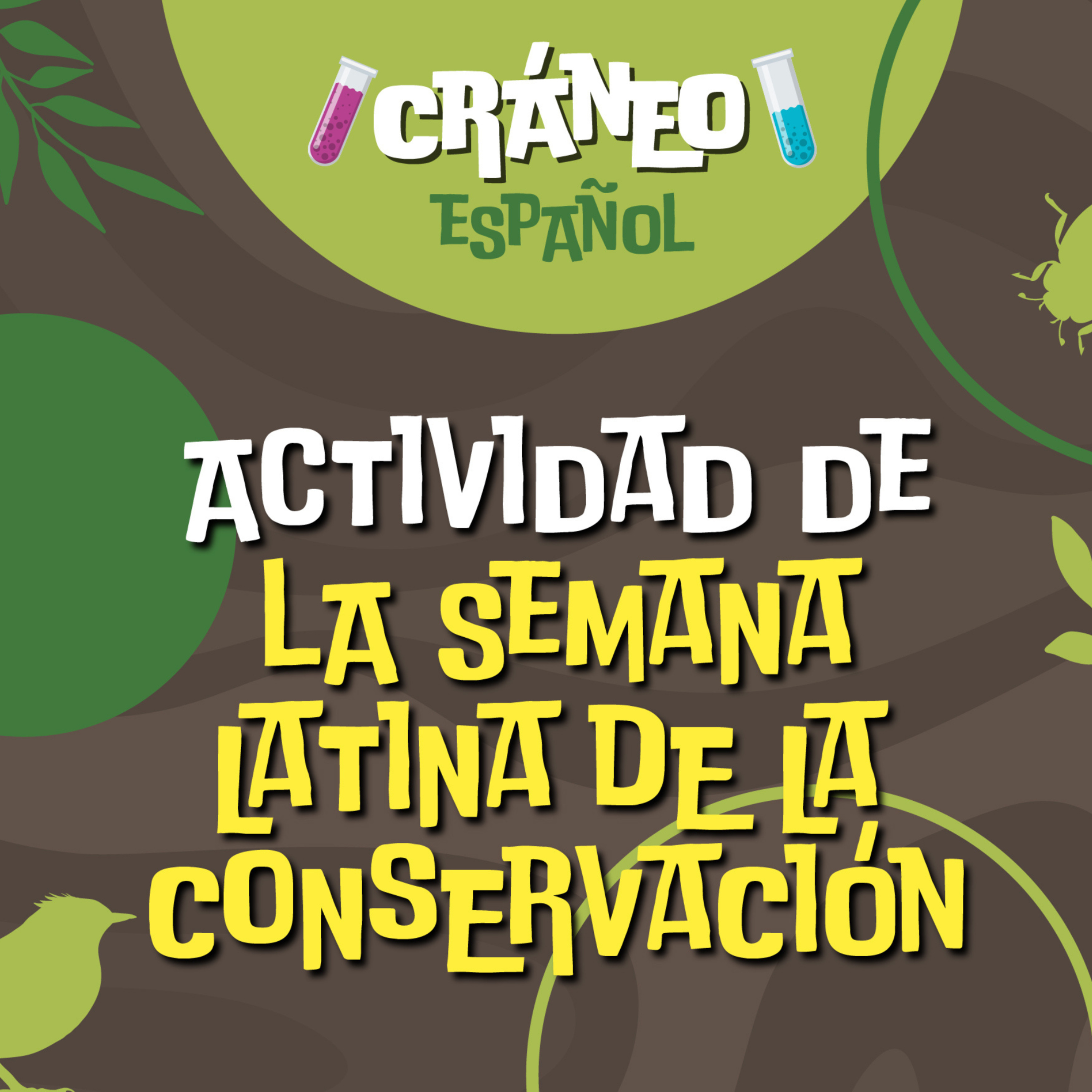 🌳🌻Reposición: Actividad de la Semana Latina de la Conservación