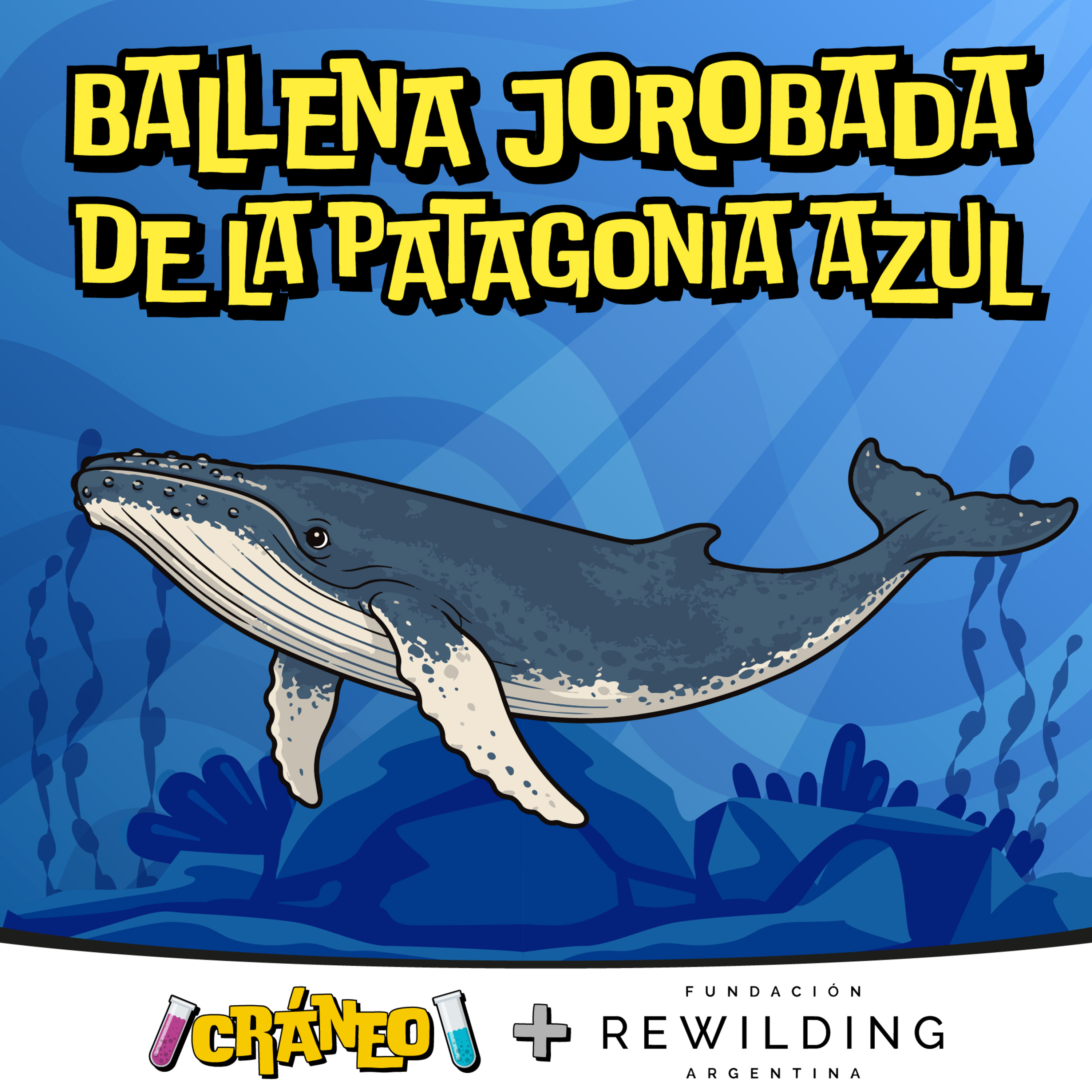 Ballenas jorobadas: La historia escrita en la cola episode artwork
