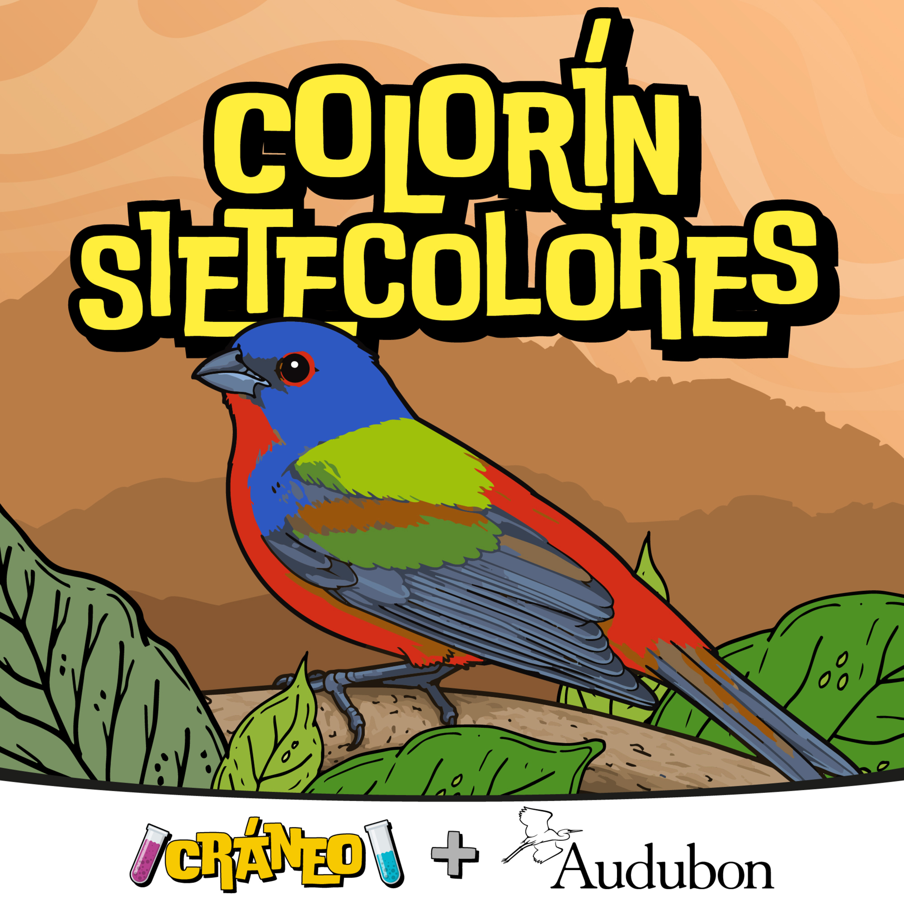 Colorín sietecolores: pequeño viajero colorido episode artwork