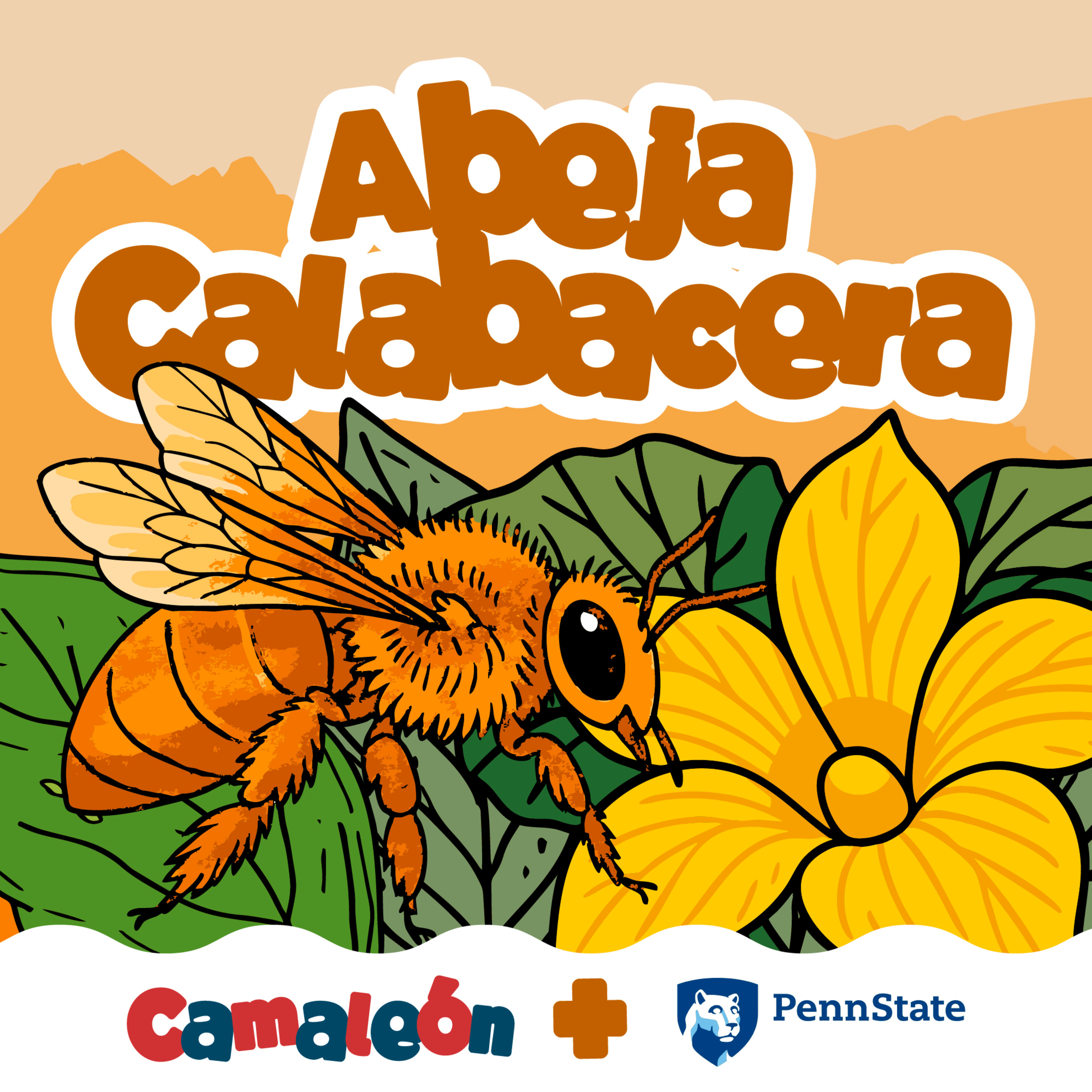 ✨Reposición✨ Abeja Calabacera: solitaria excavadora episode artwork