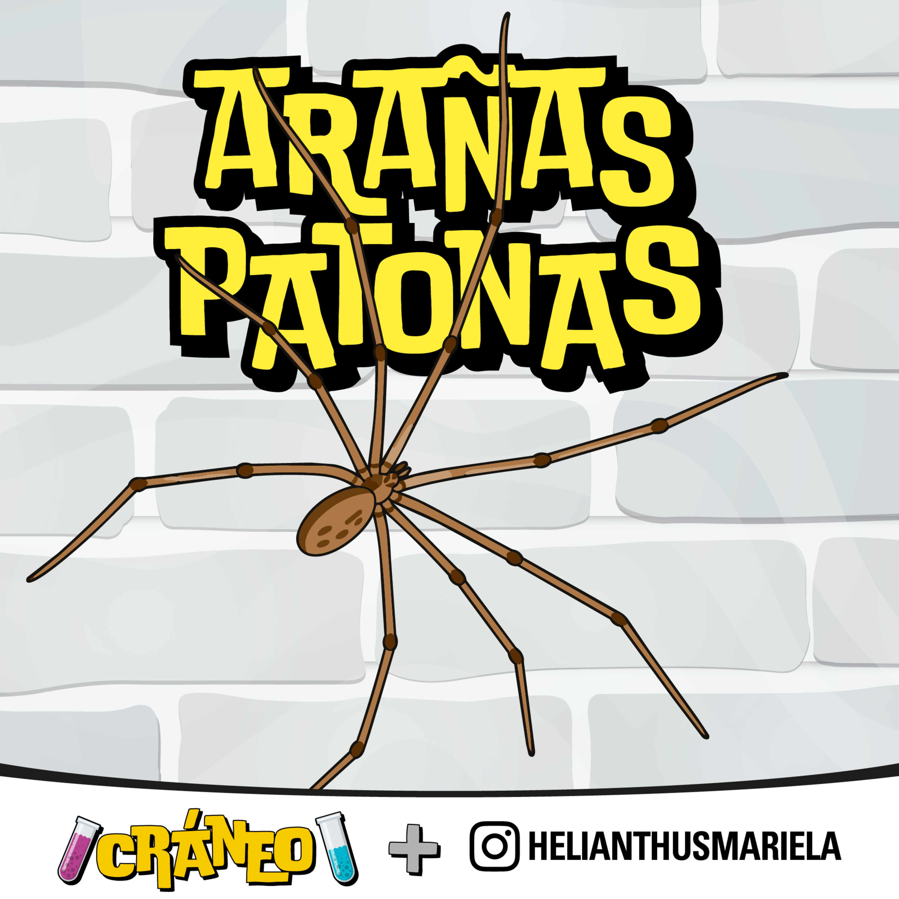 Araña Patona: la vecina del jardín que no es lo que parece episode artwork