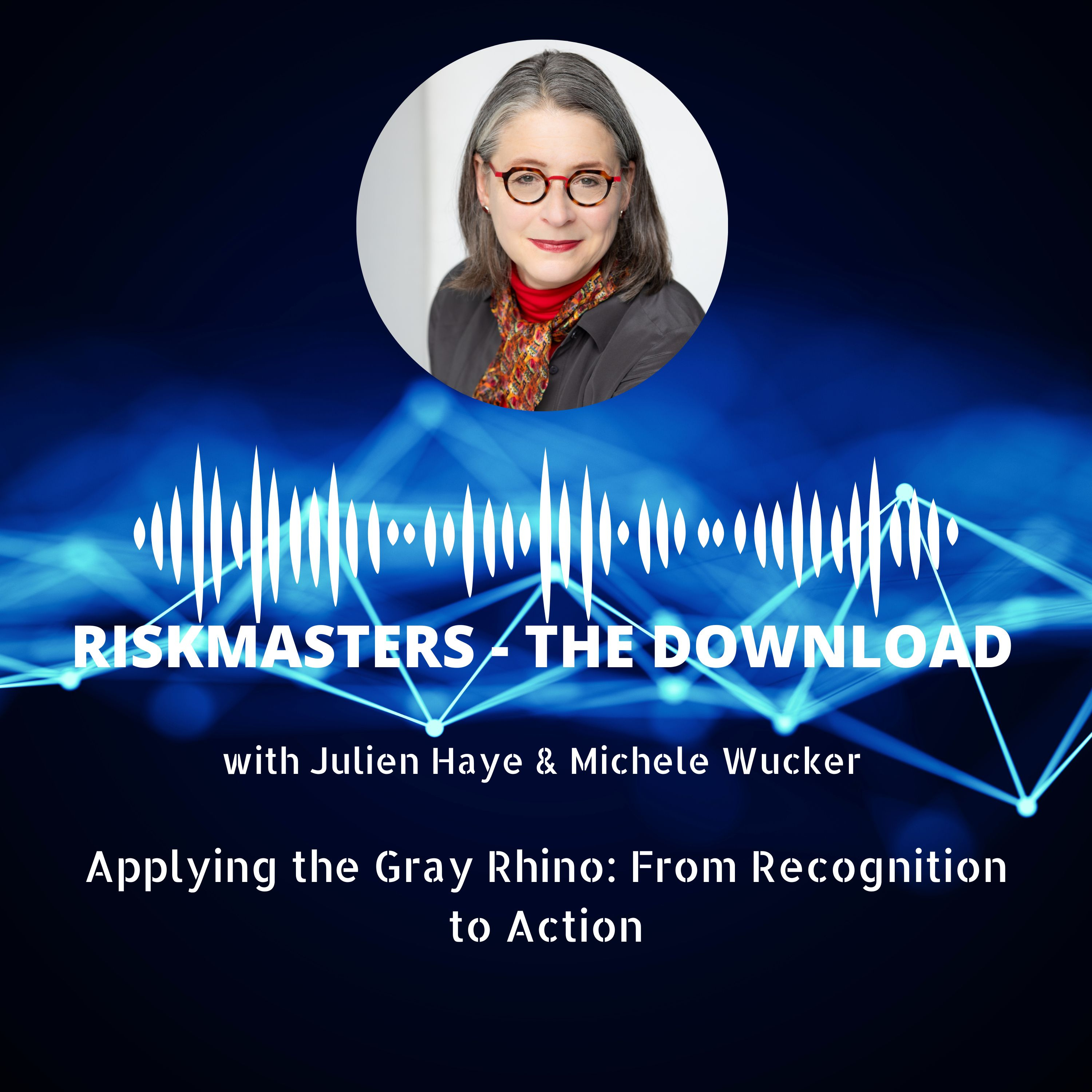 Applying the Gray Rhino: From Recognition to Action episode artwork