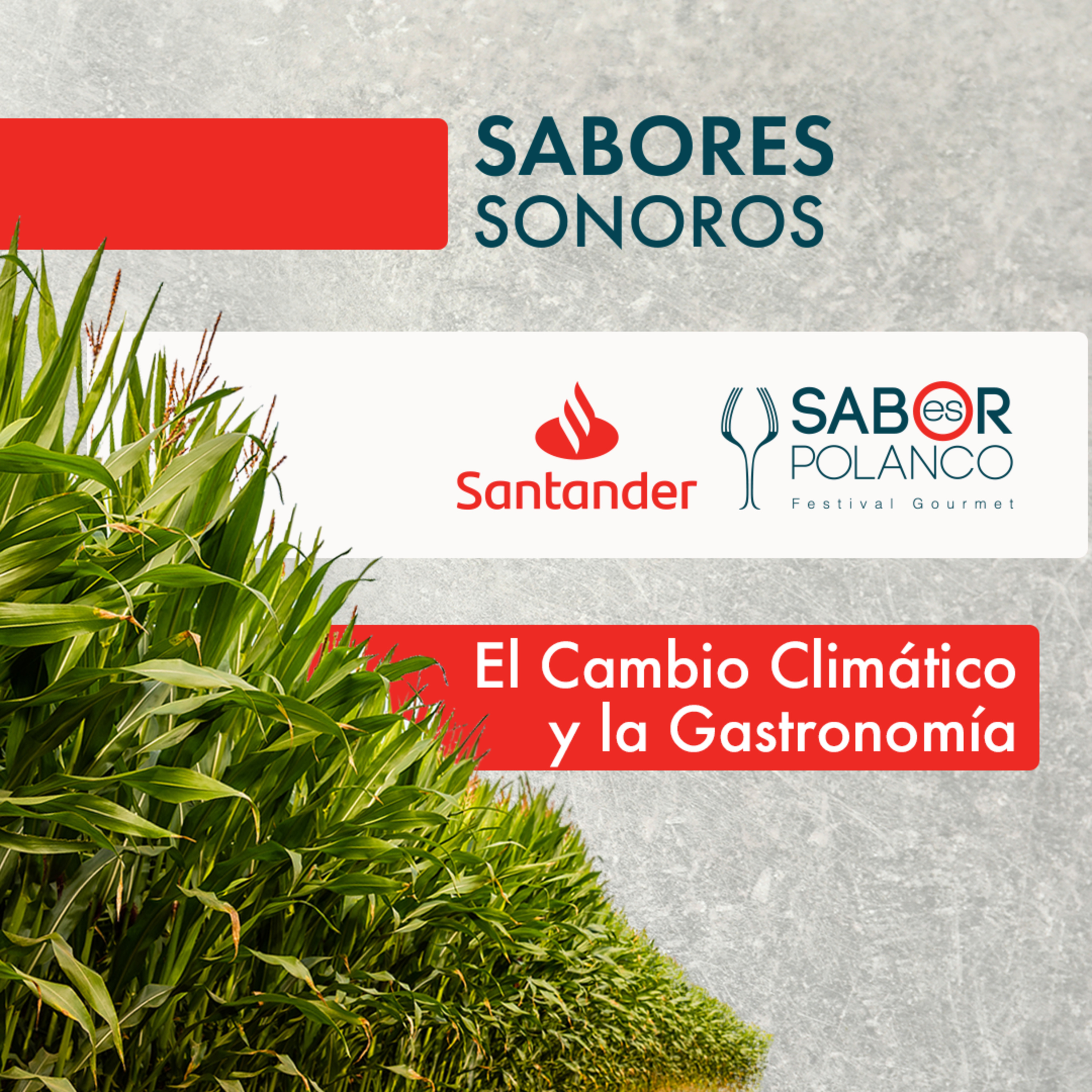 Portada de Sabores Sonoros