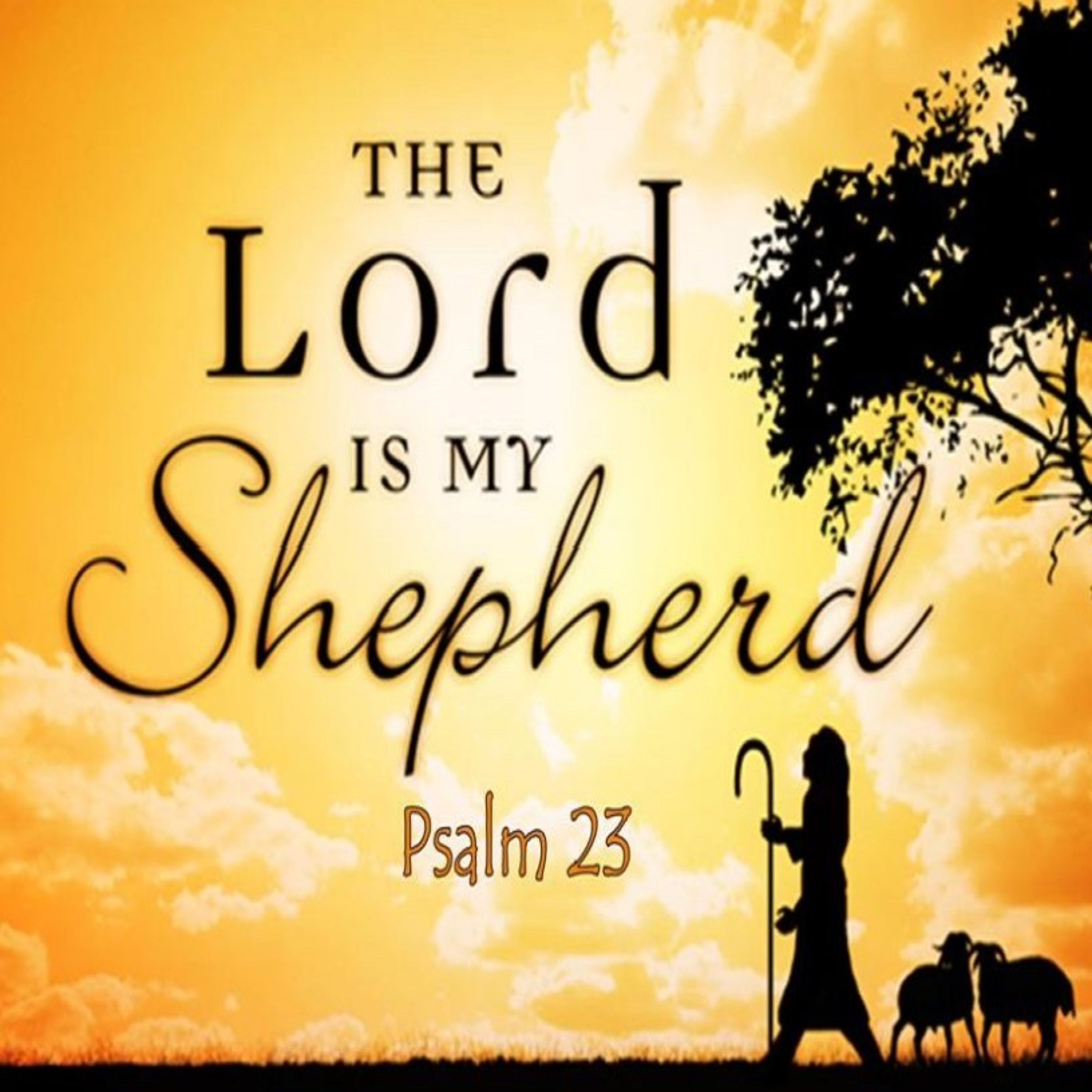 My Shepherd! episode artwork