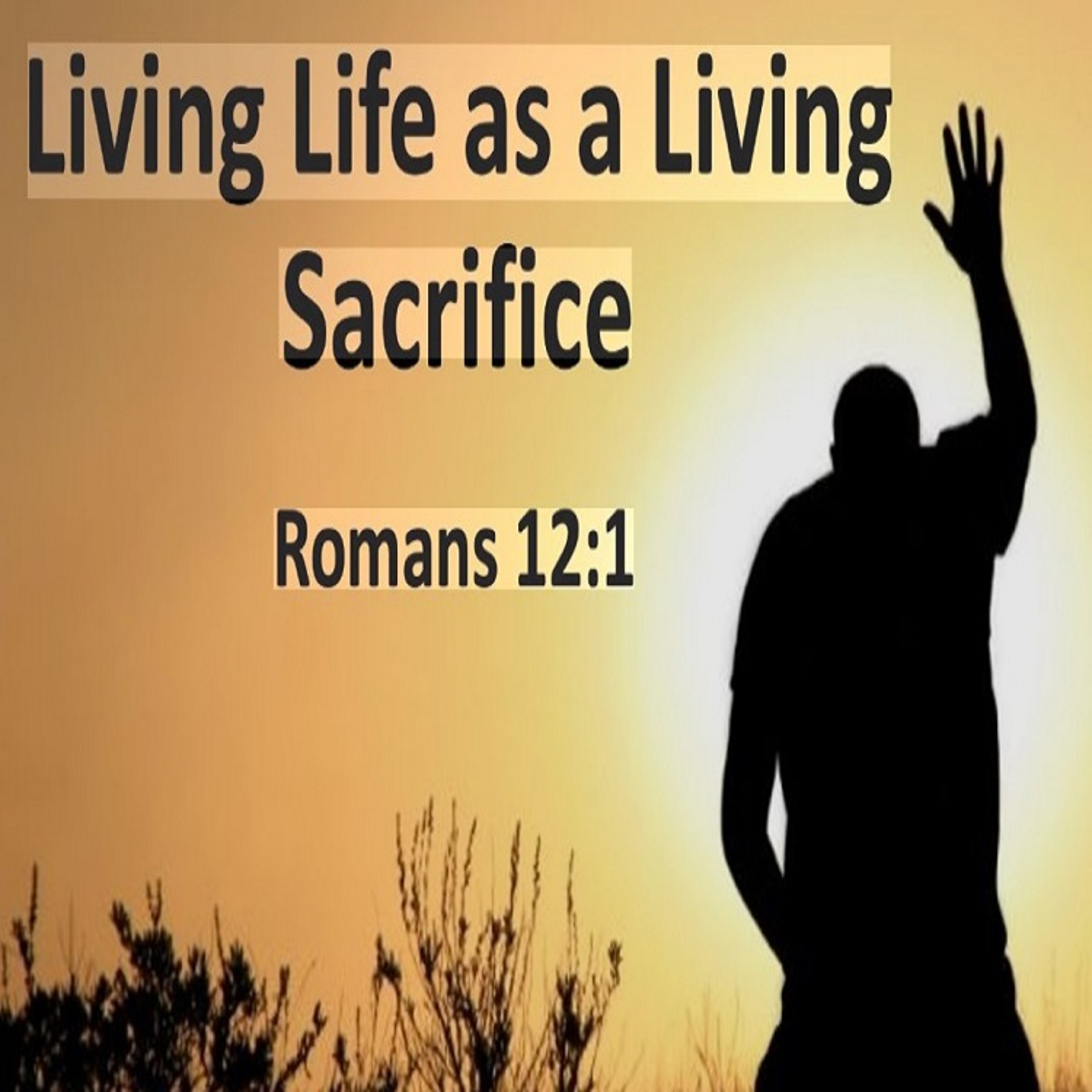A Living Sacrifice episode artwork