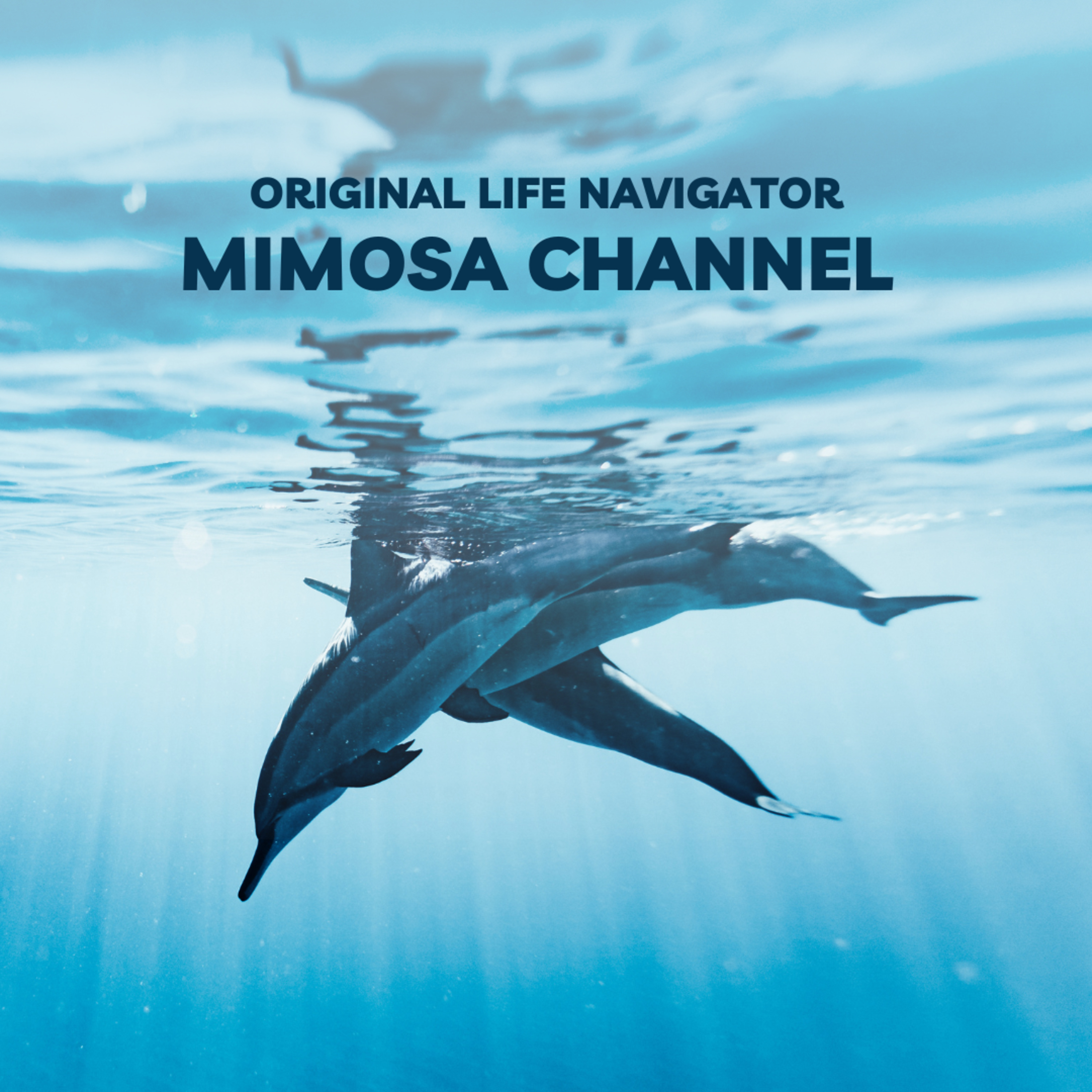 【自己紹介】Original life navigatorのMimosaです episode artwork