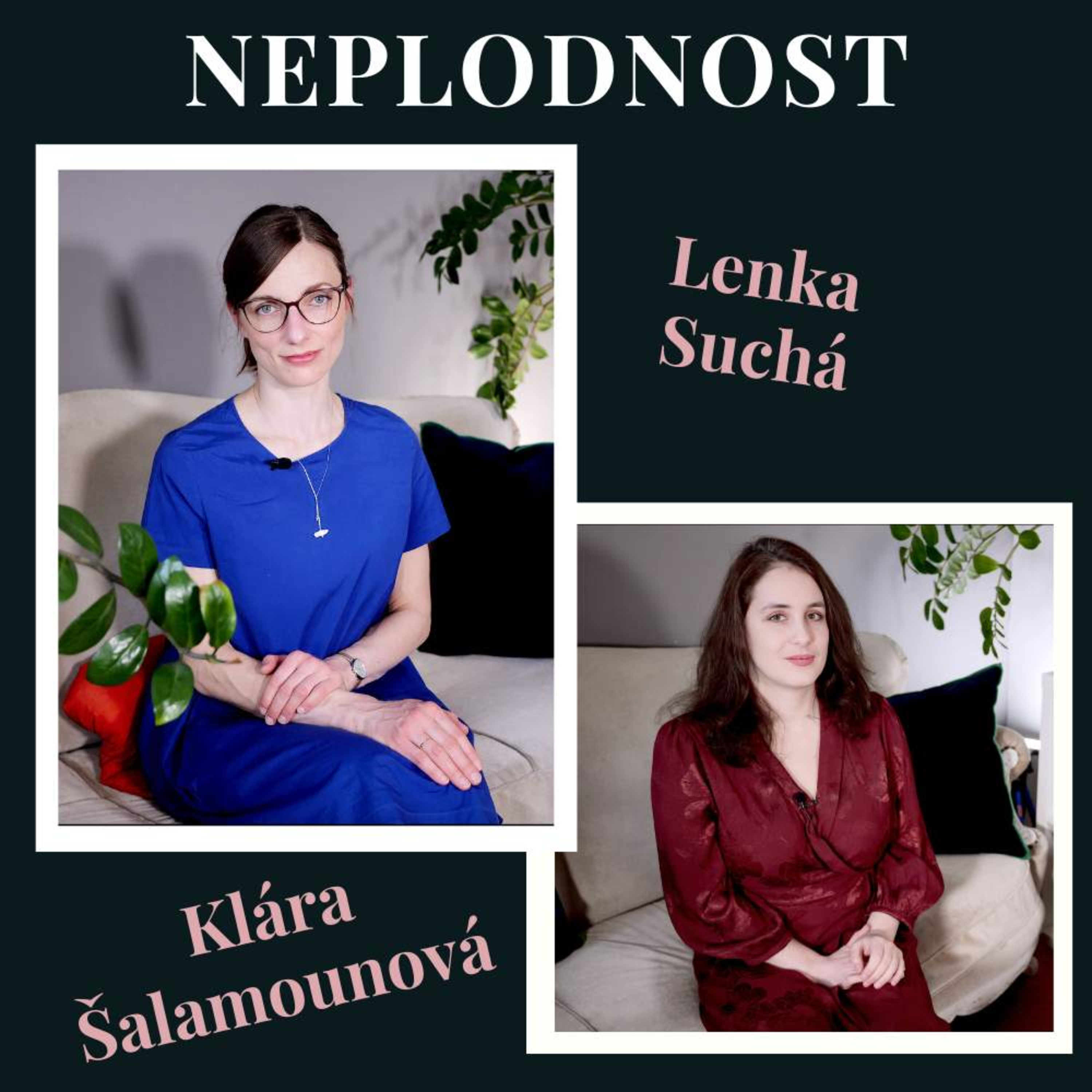 REPRODUKTOR