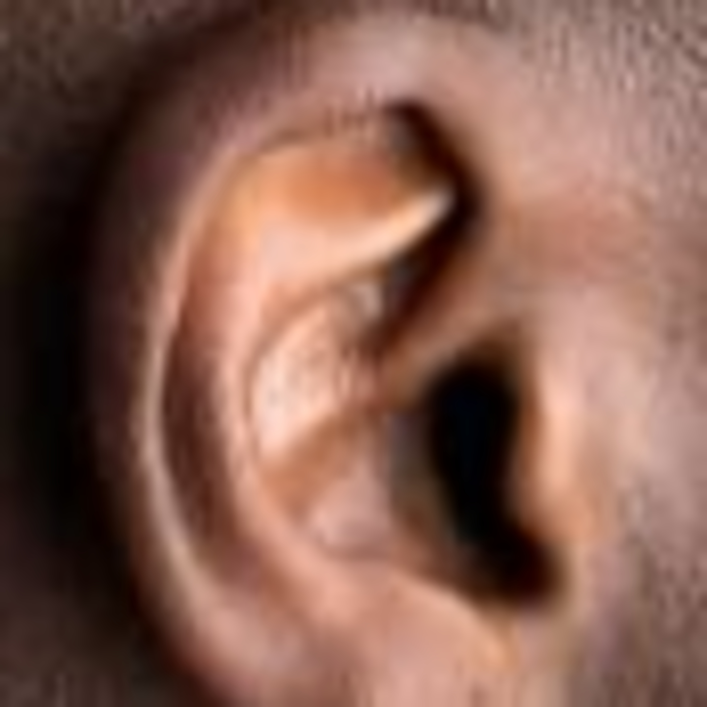 Dialexicon: experiments in language and listening