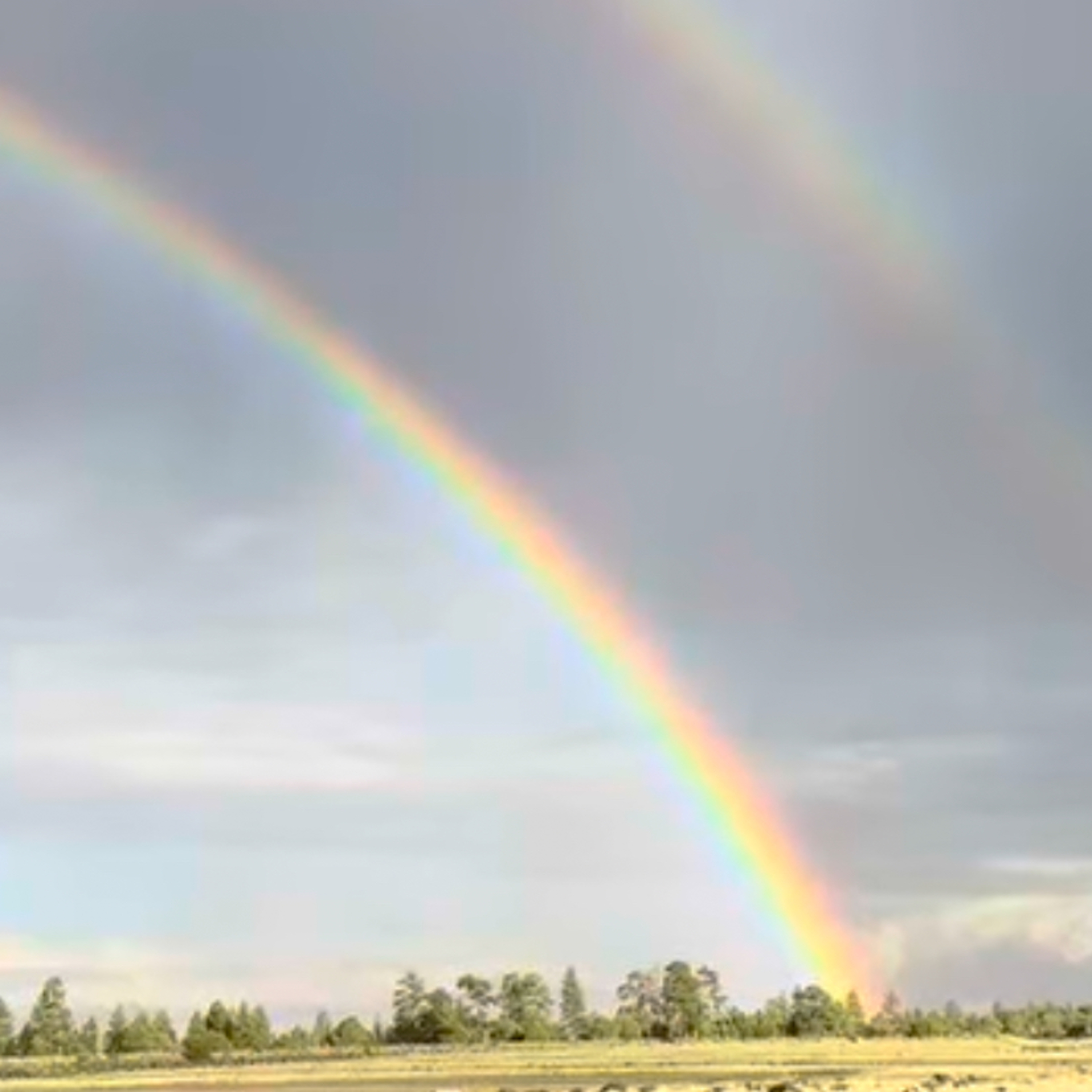 How did your spend your Valentine’s Day?