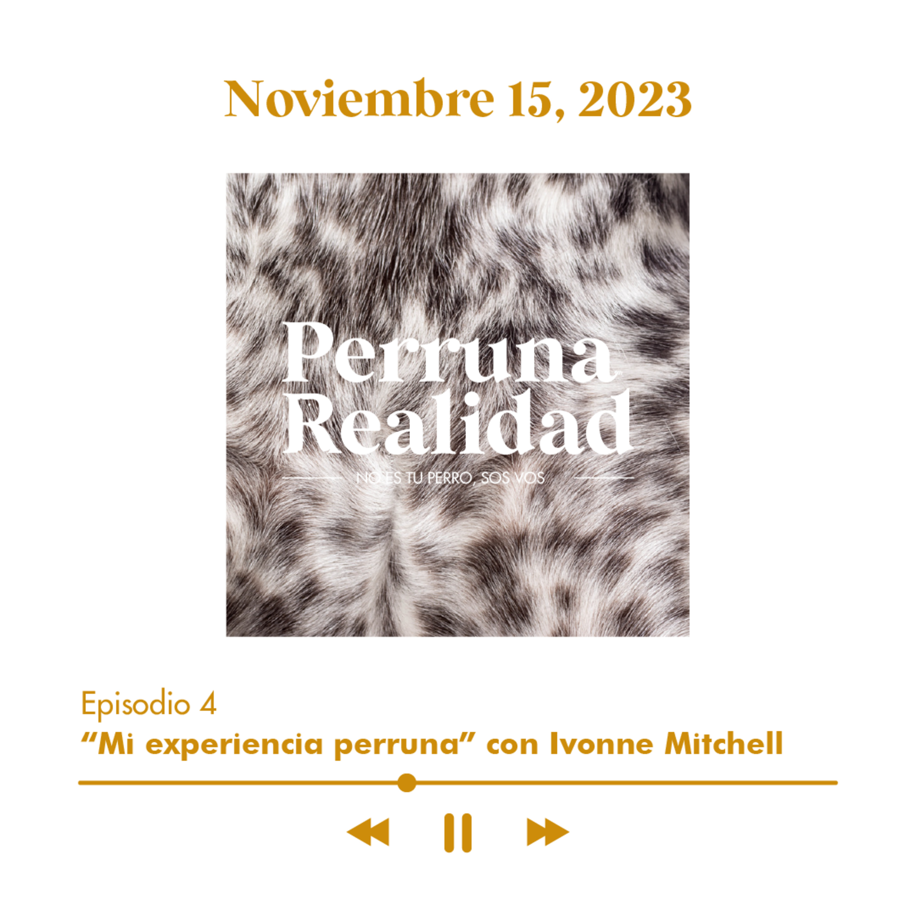 Perruna Realidad#4: “Mi experiencia perruna” con Ivonne Mitchell