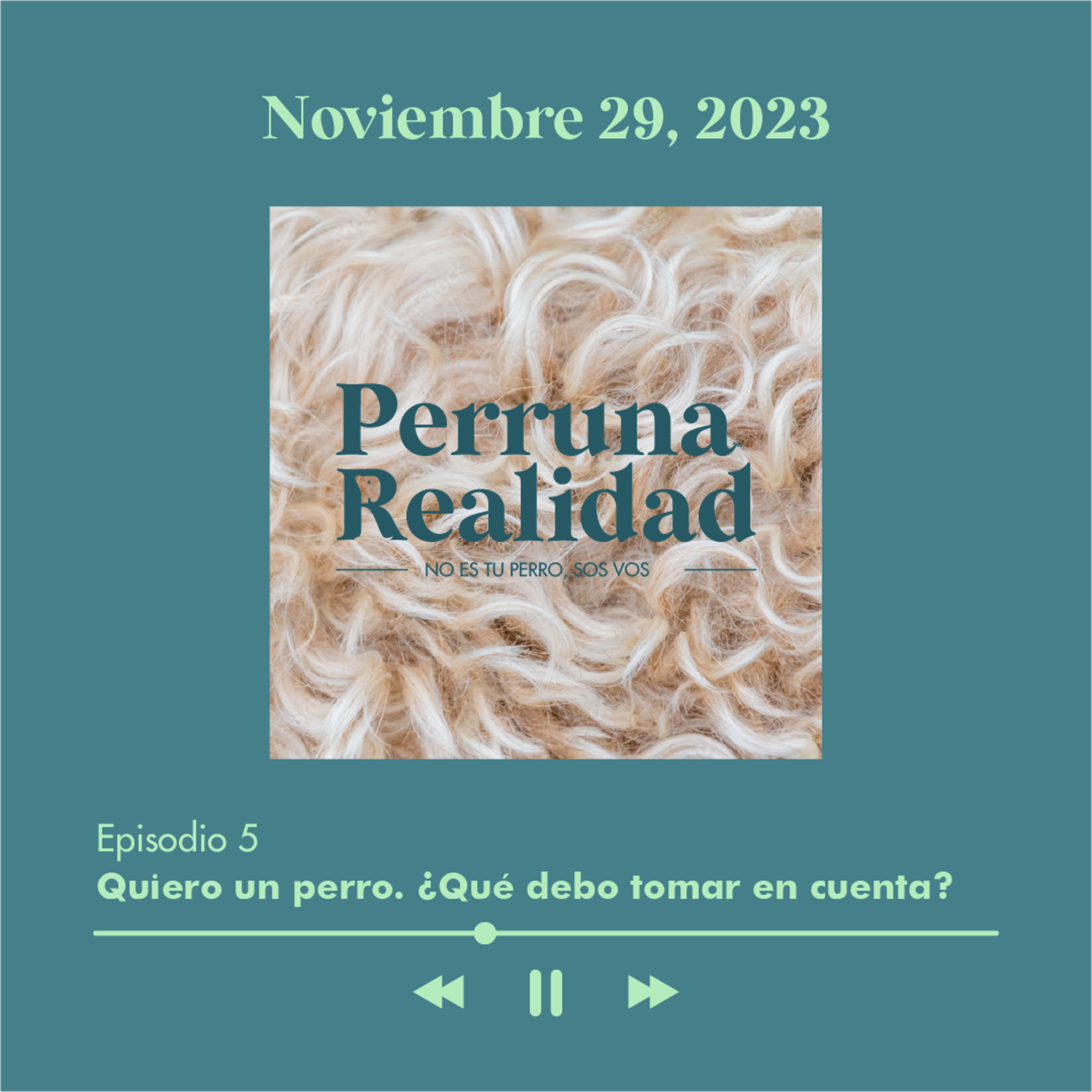 Perruna Realidad#5: Quiero un perro. ¿Qué debo tomar en cuenta? episode artwork